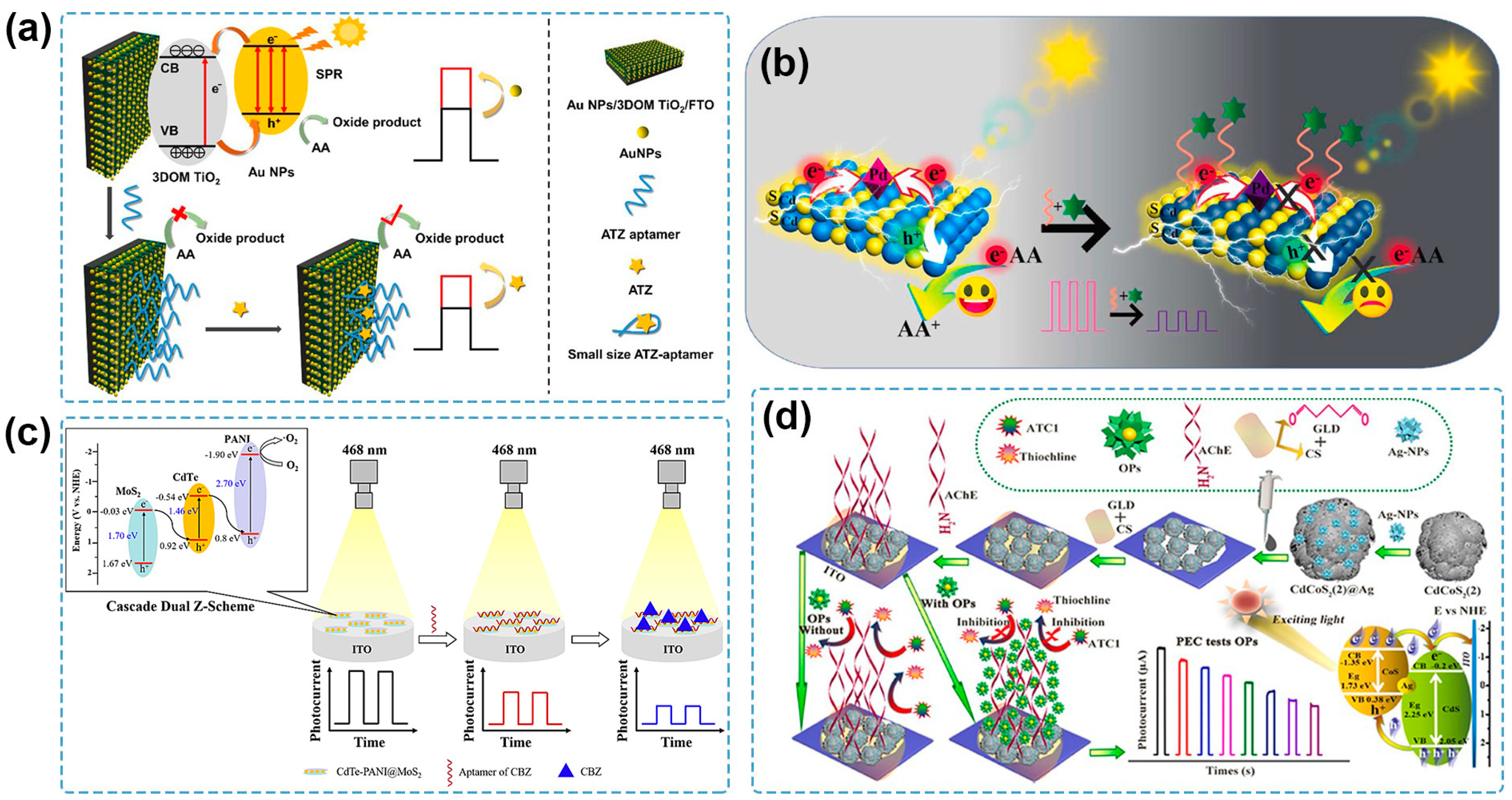 Molecules 29 00560 g004
