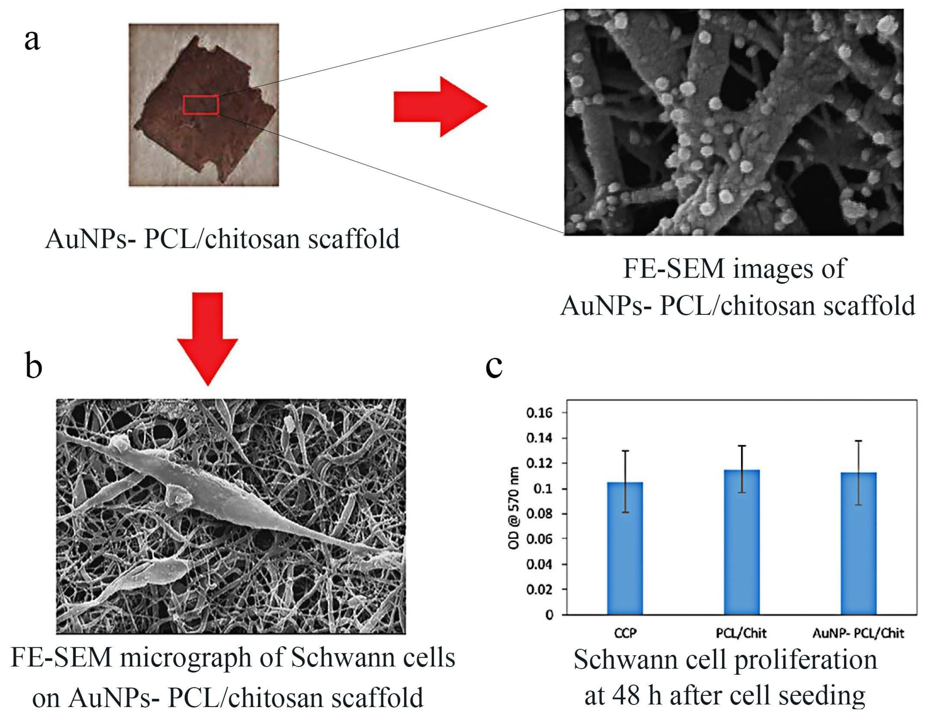 Molecules 29 00566 g007