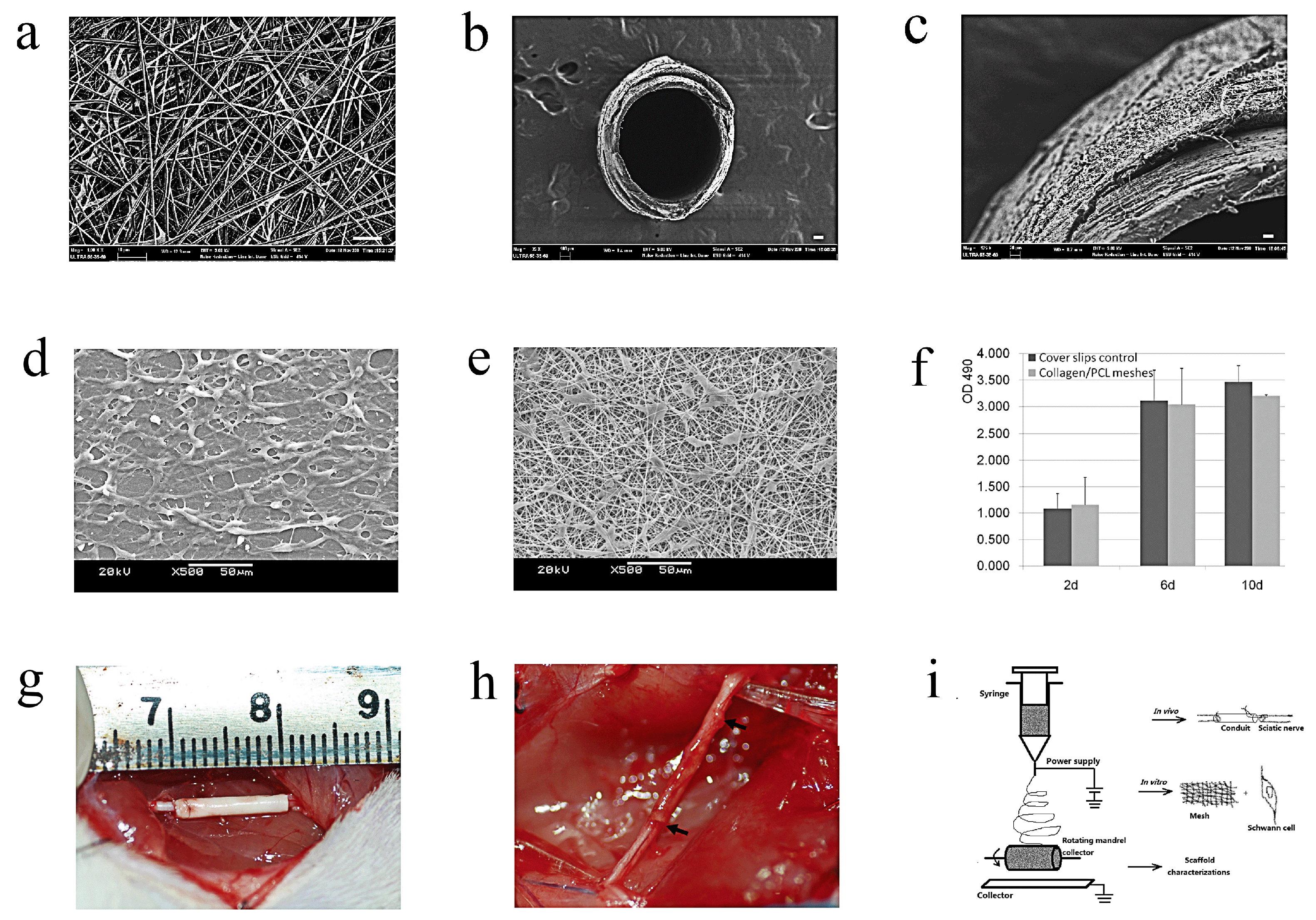 Molecules 29 00566 g009