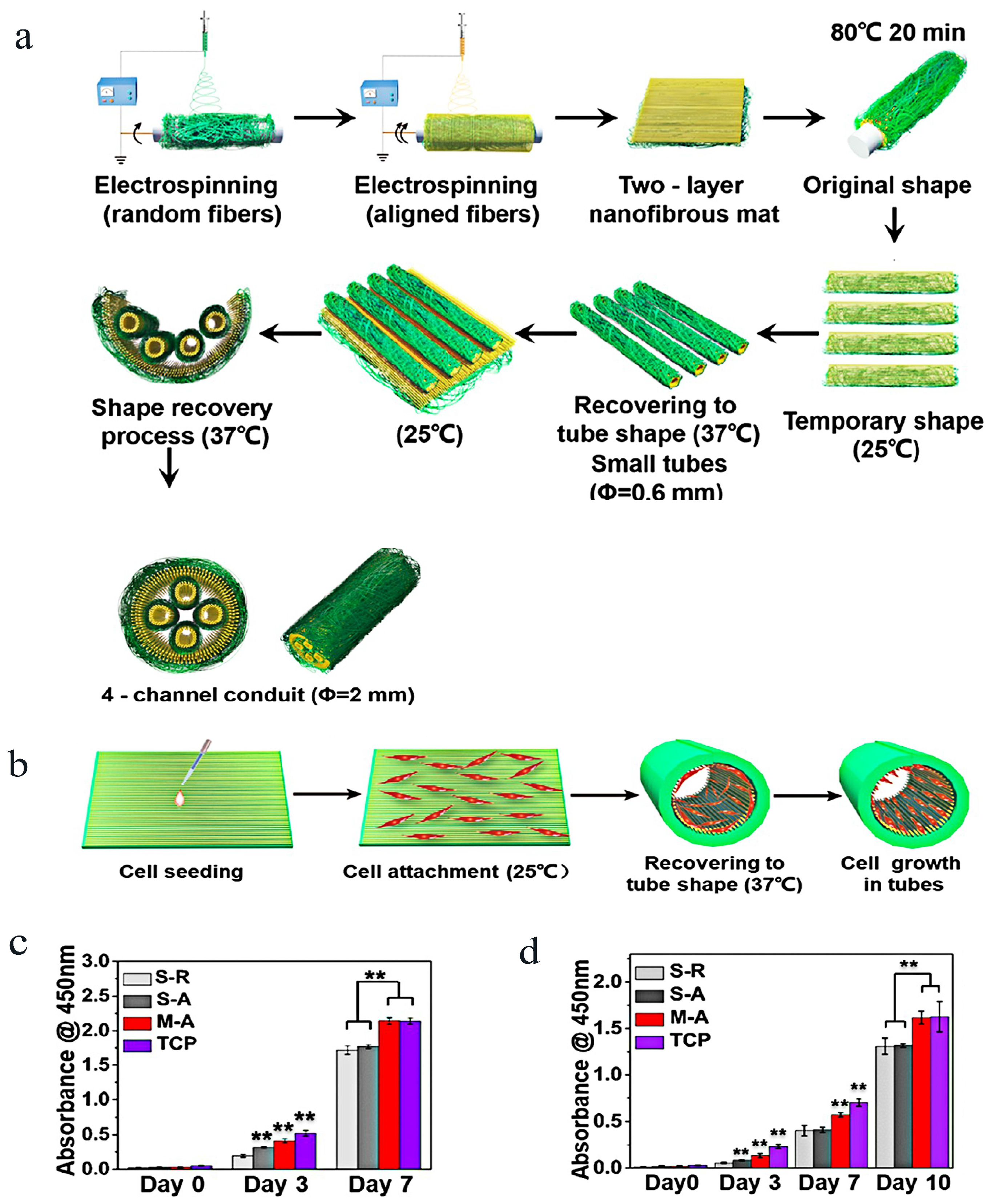 Molecules 29 00566 g010