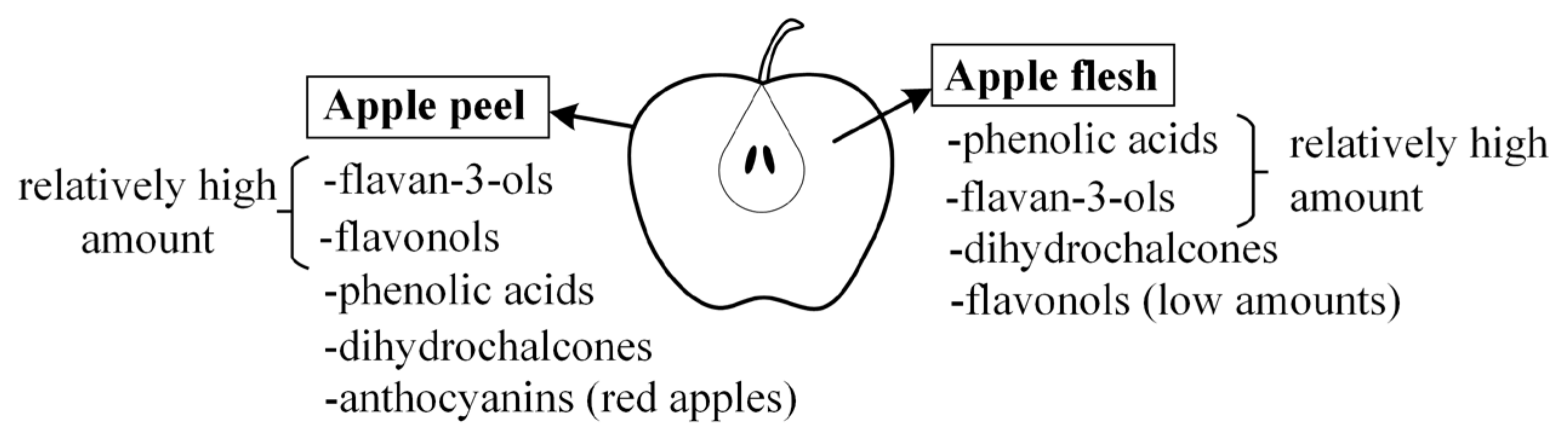 Molecules 29 00568 g001