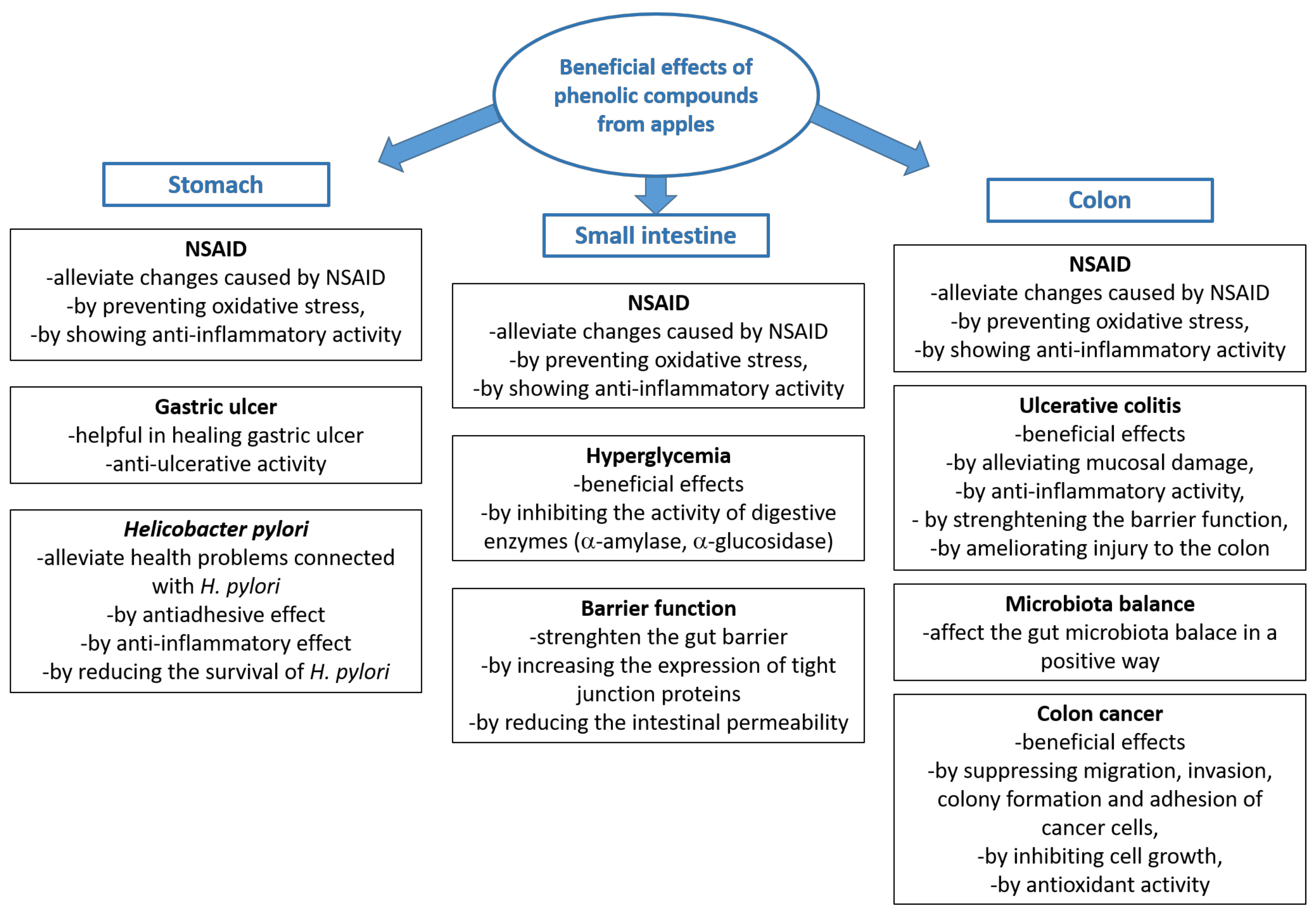 Molecules 29 00568 g003