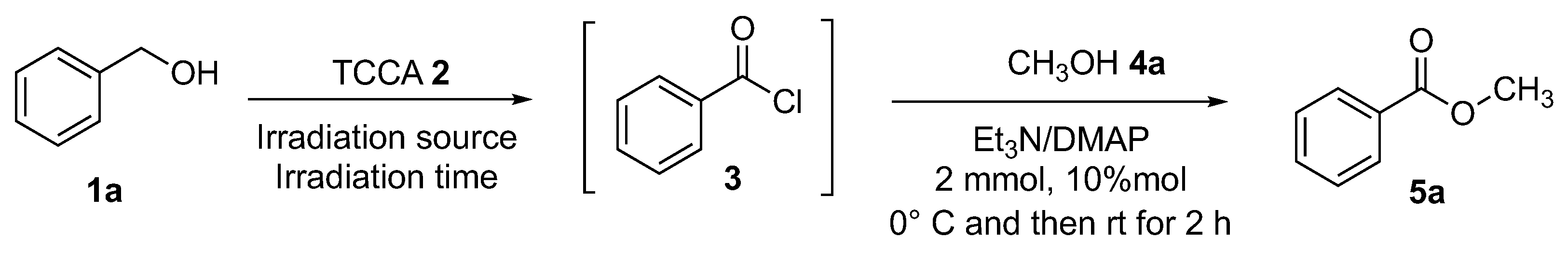 Molecules 29 00570 sch005