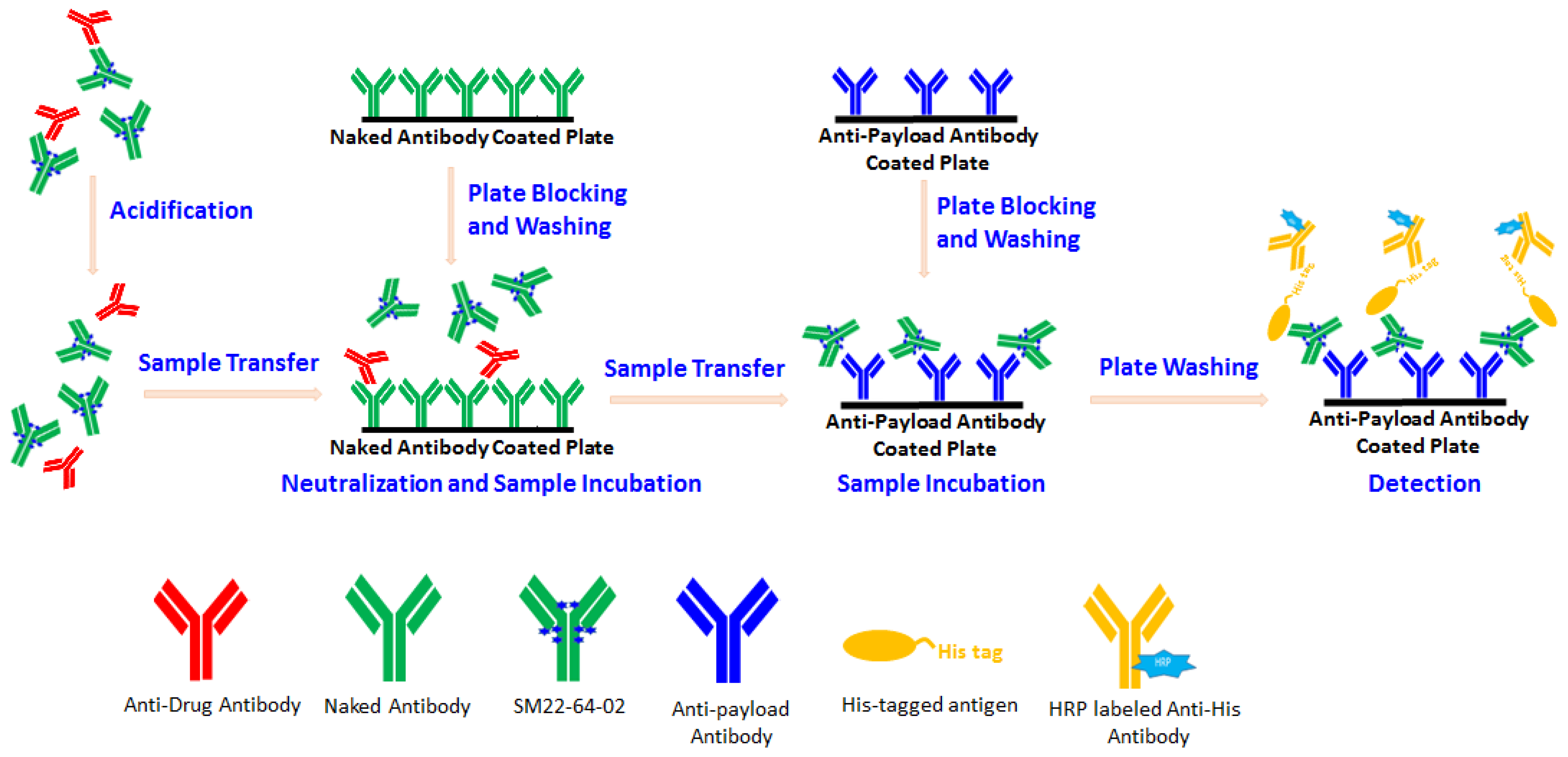 Molecules 29 00572 g002