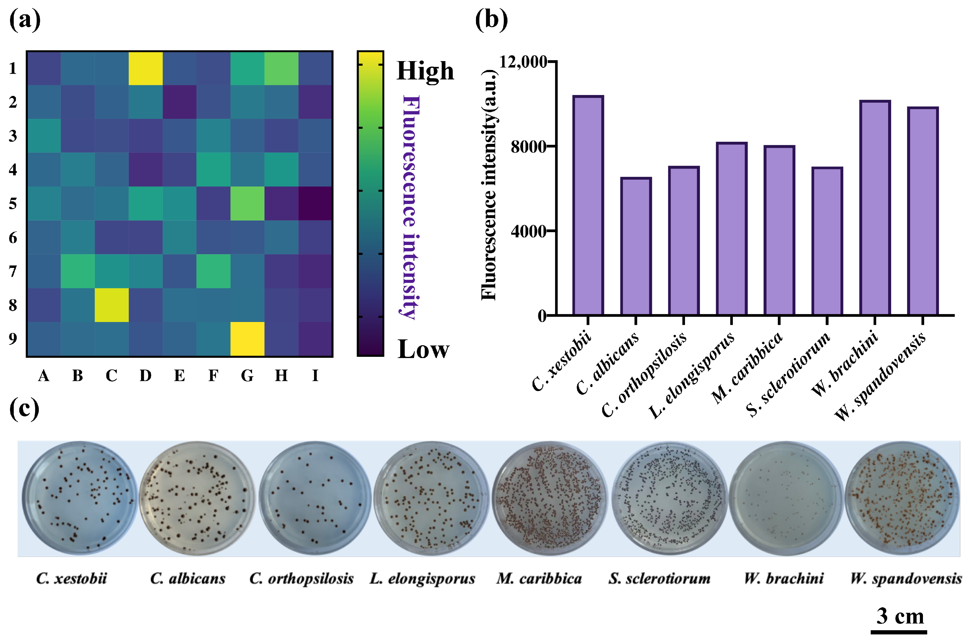 Molecules 29 00577 g005