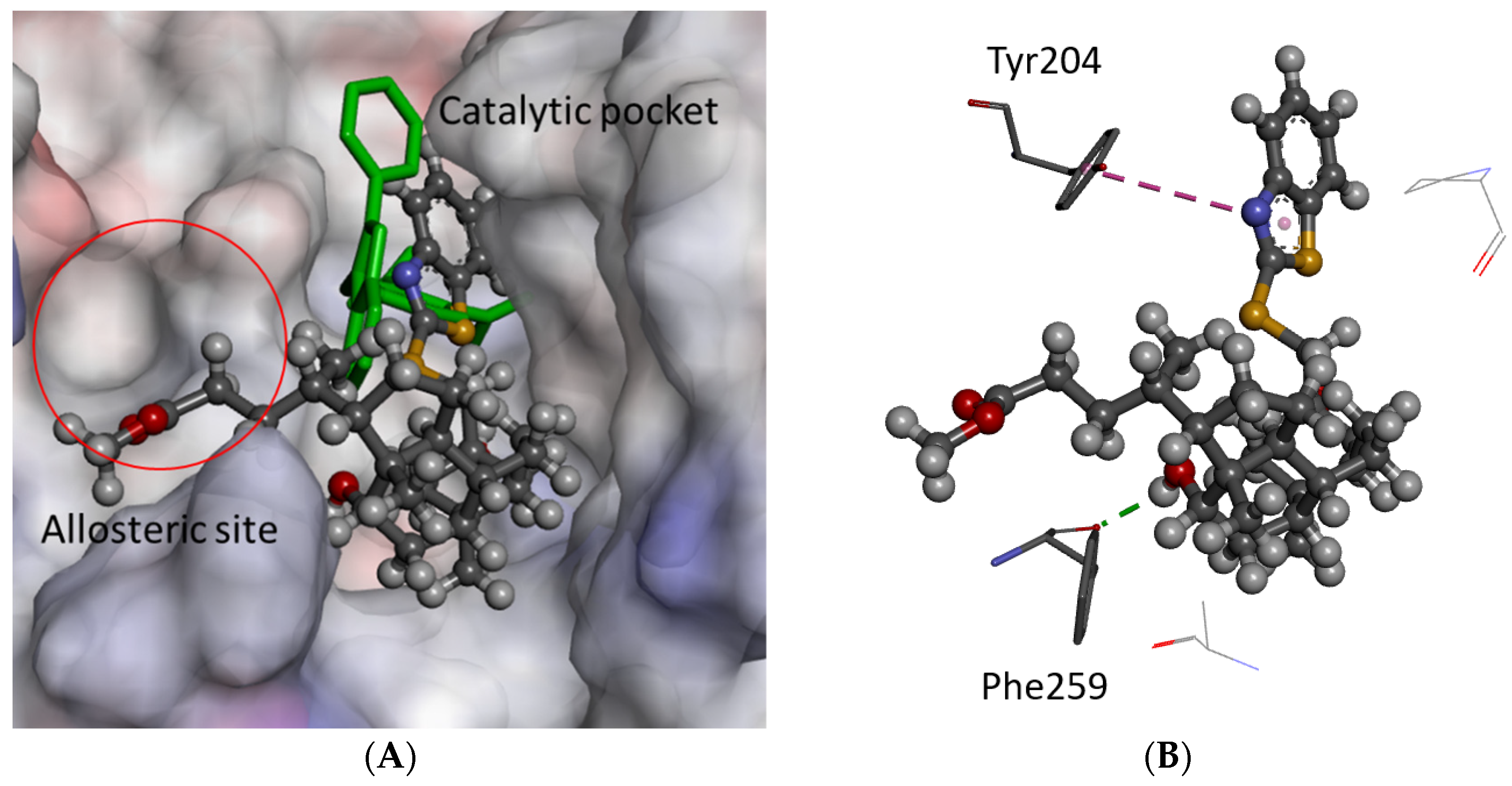 Molecules 29 00581 g003
