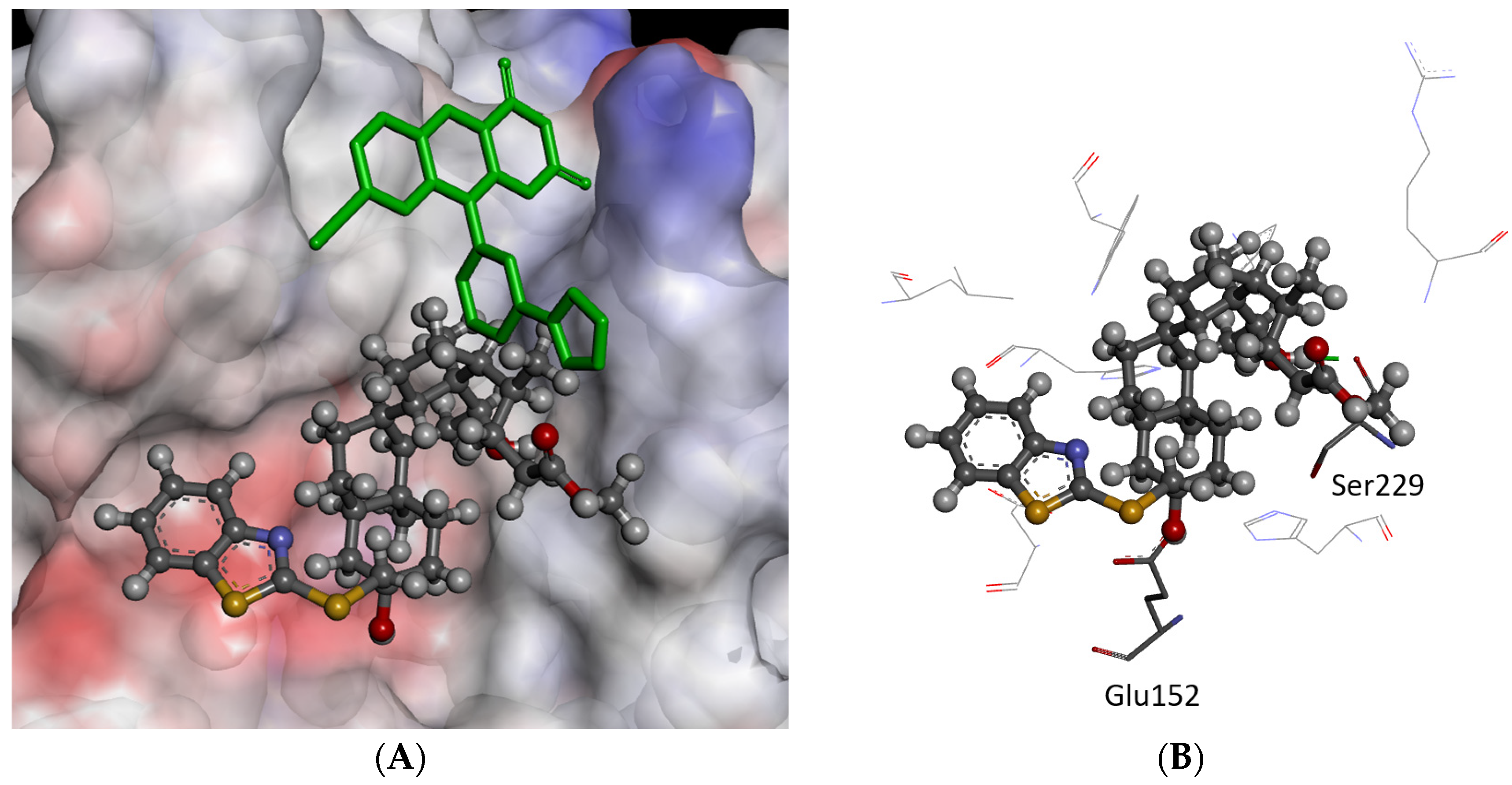 Molecules 29 00581 g004