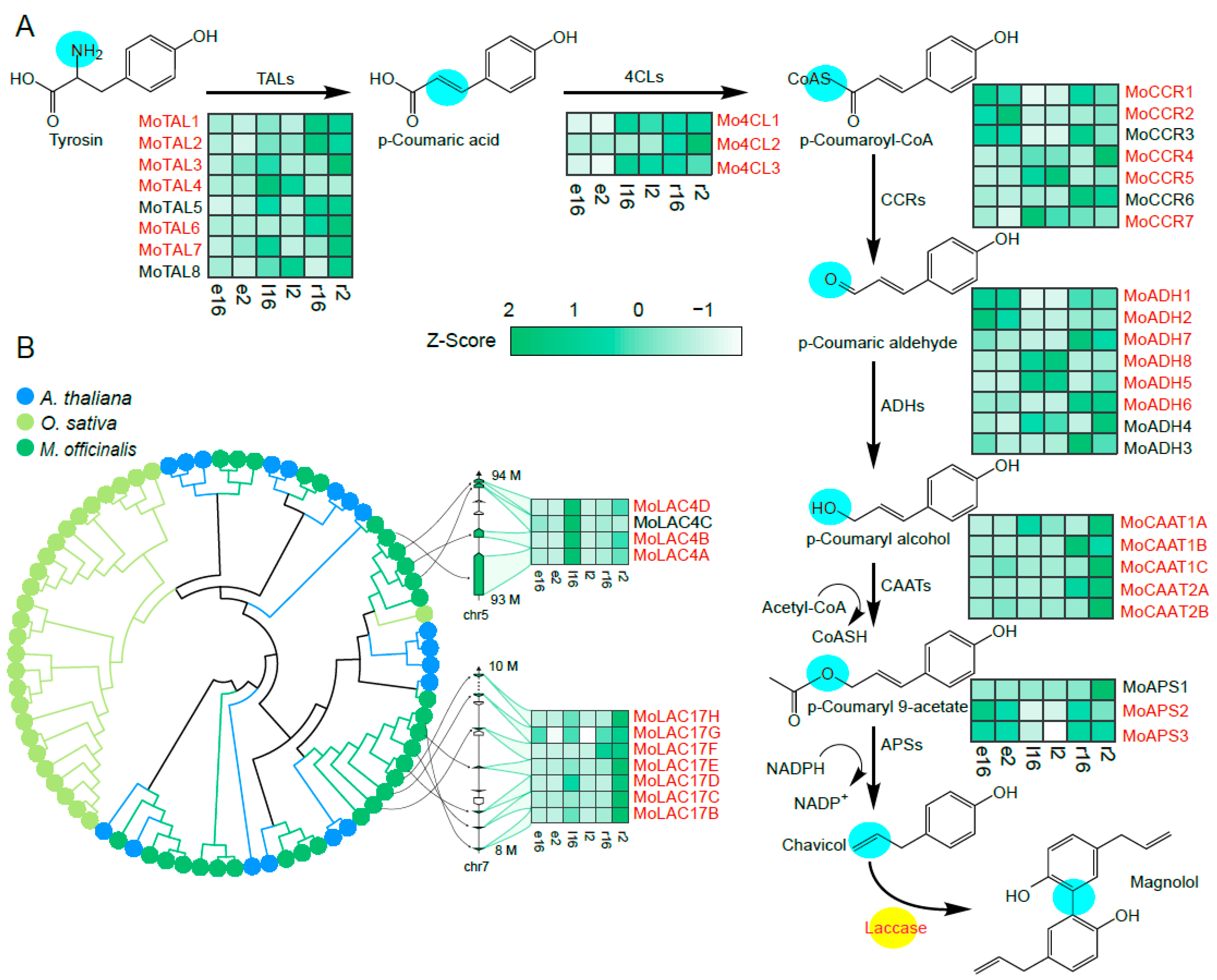 Molecules 29 00587 g001