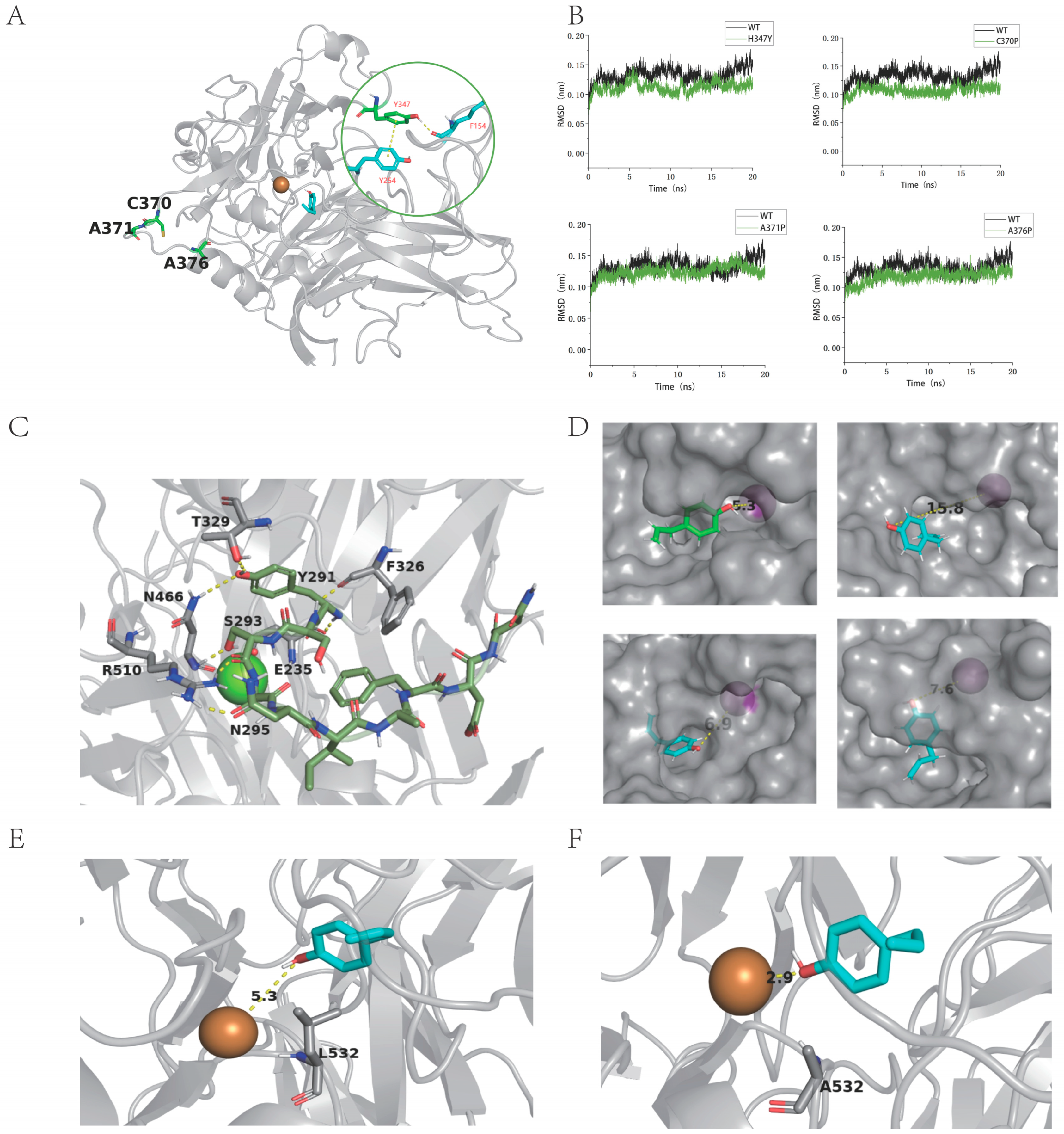 Molecules 29 00587 g005
