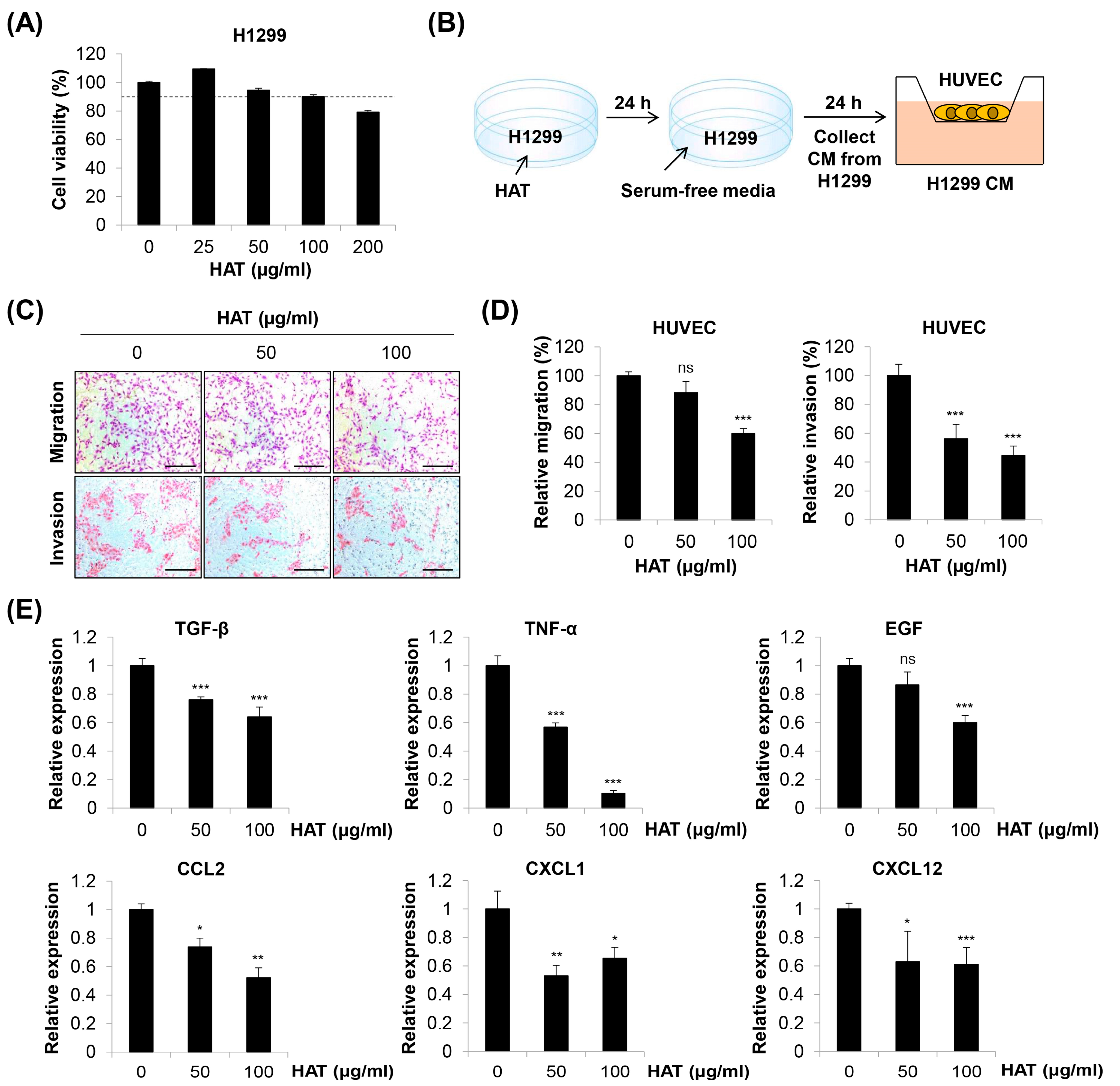Molecules 29 00597 g005 Molecules 29 00597 g005