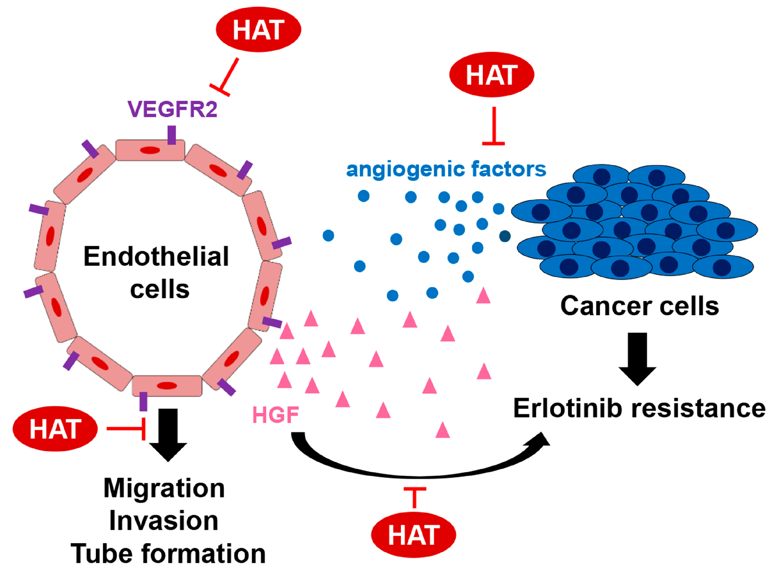Molecules 29 00597 g007 Molecules 29 00597 g007