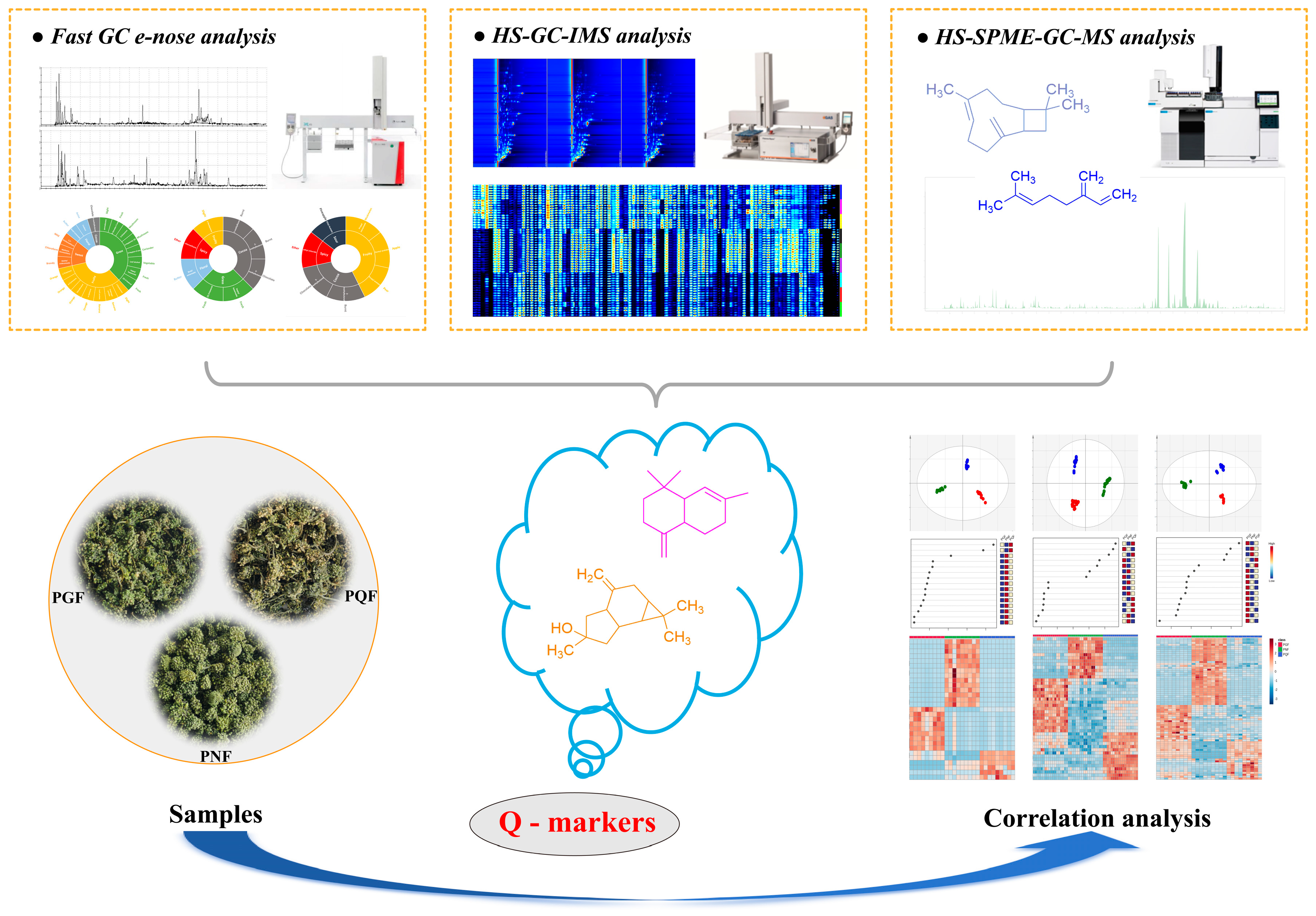 Molecules 29 00602 g001