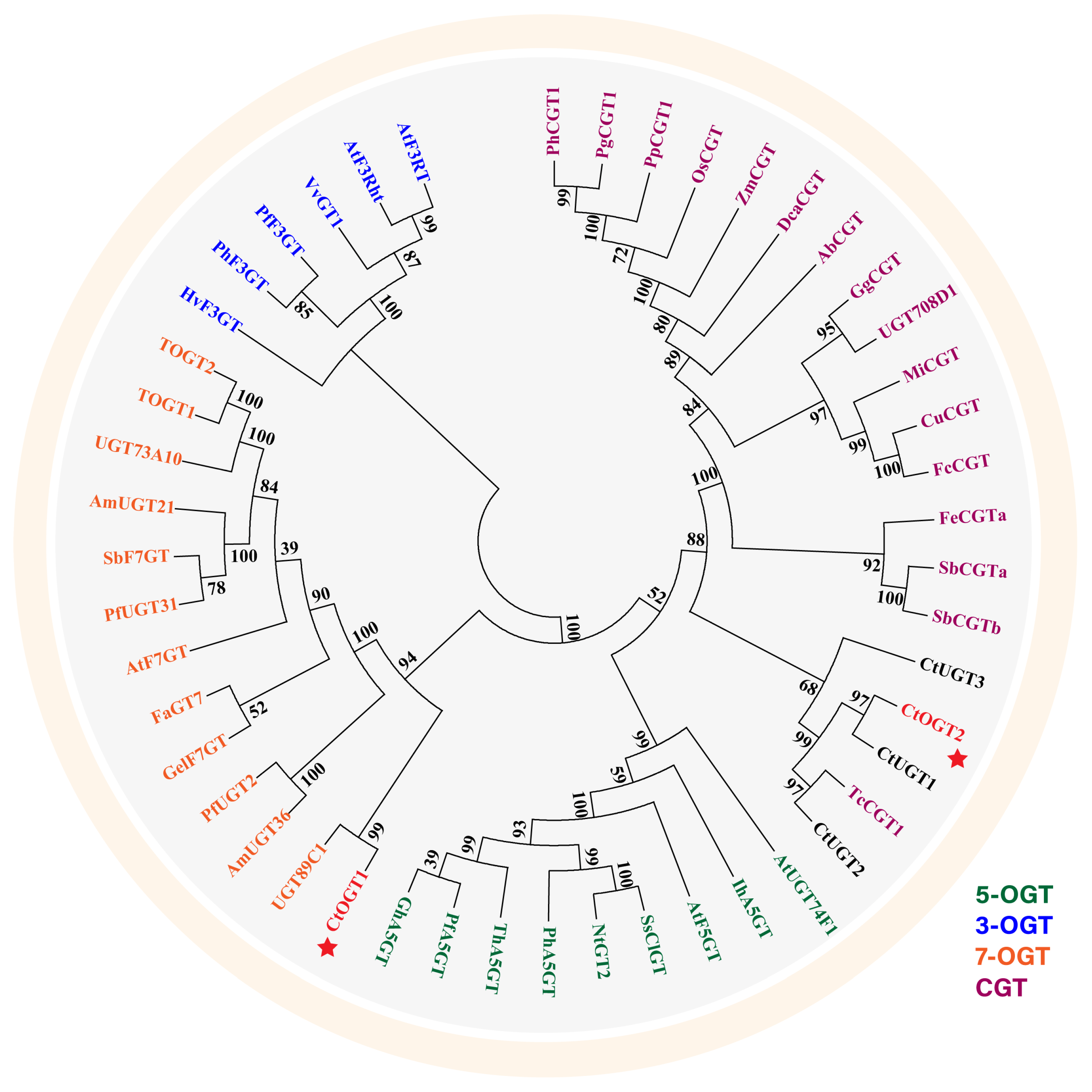 Molecules 29 00604 g001