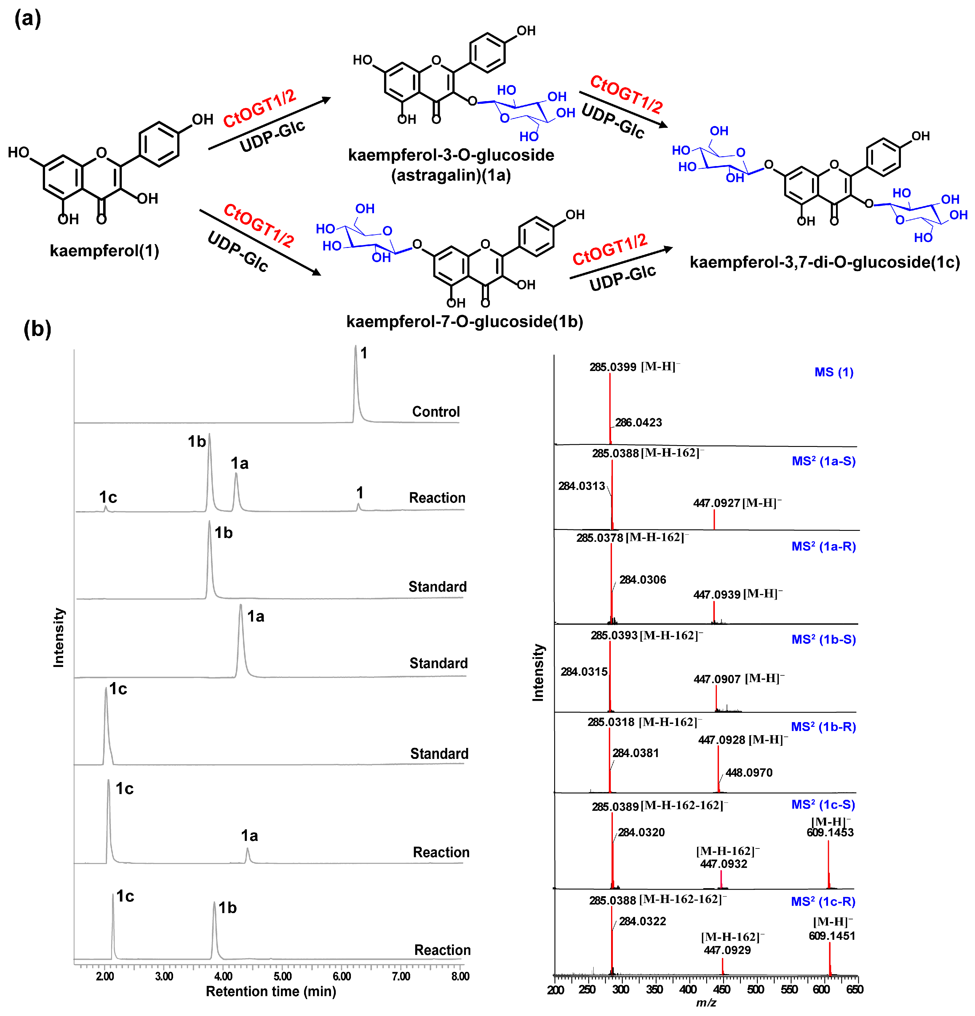 Molecules 29 00604 g003