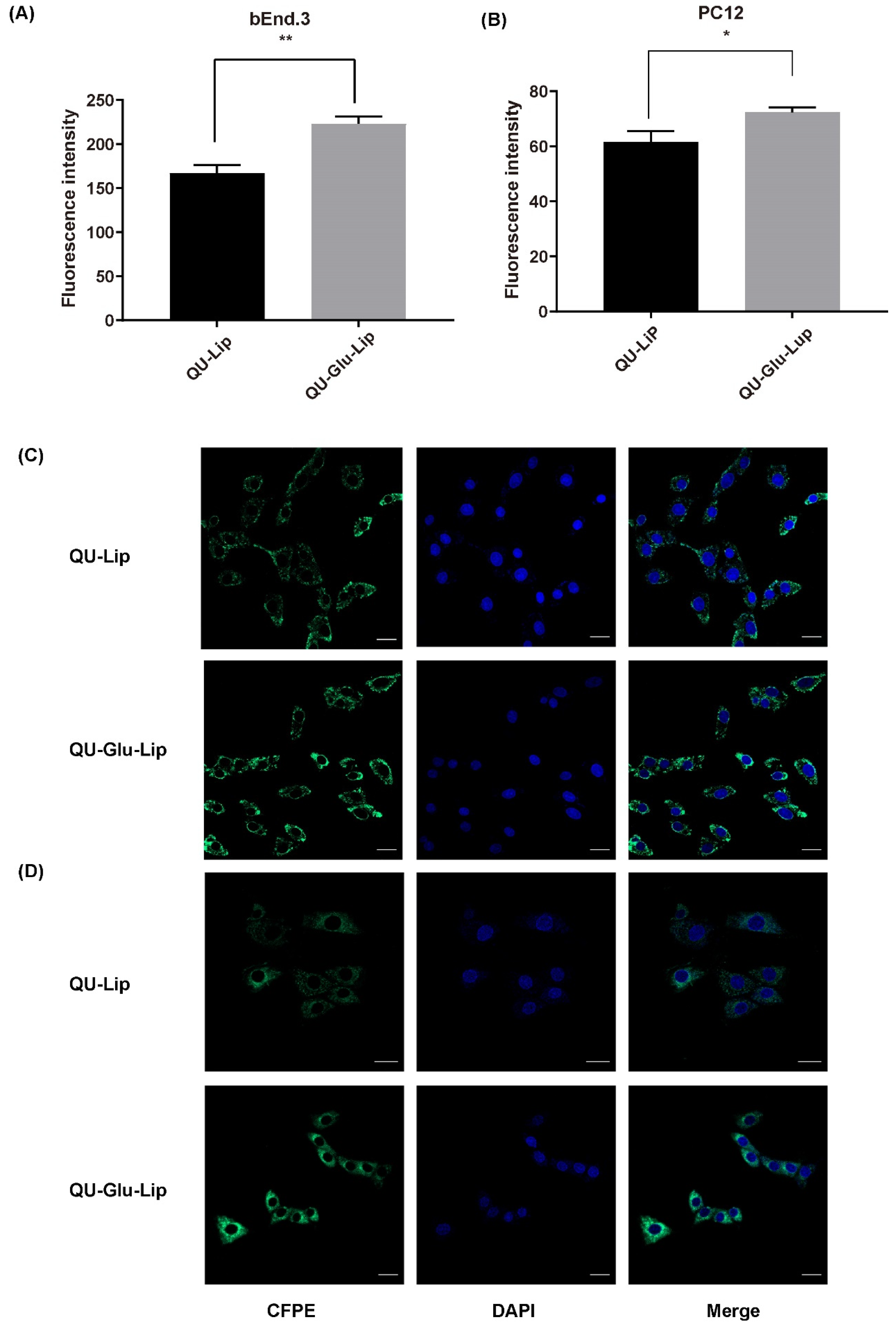 Molecules 29 00607 g004