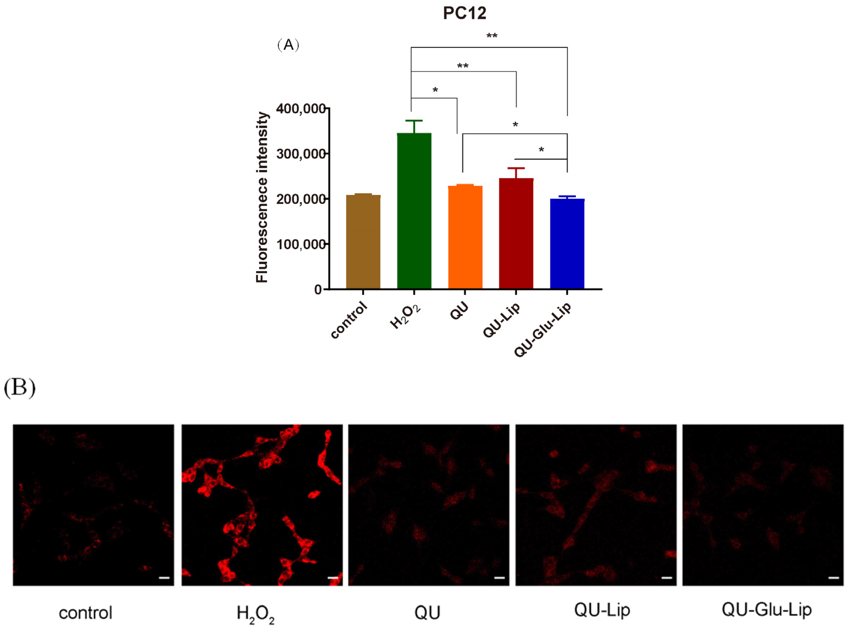 Molecules 29 00607 g007
