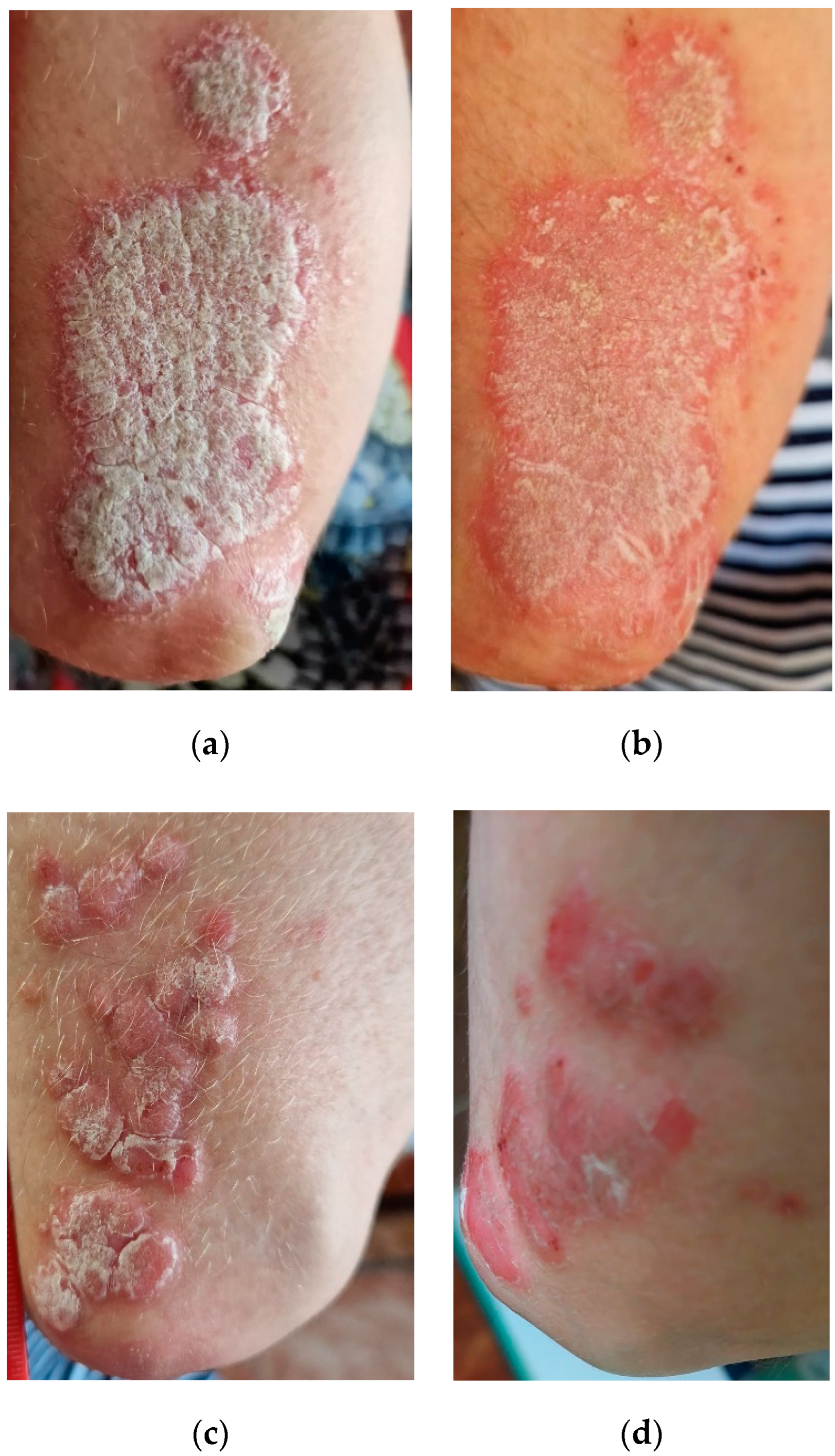 Molecules 29 00608 g003