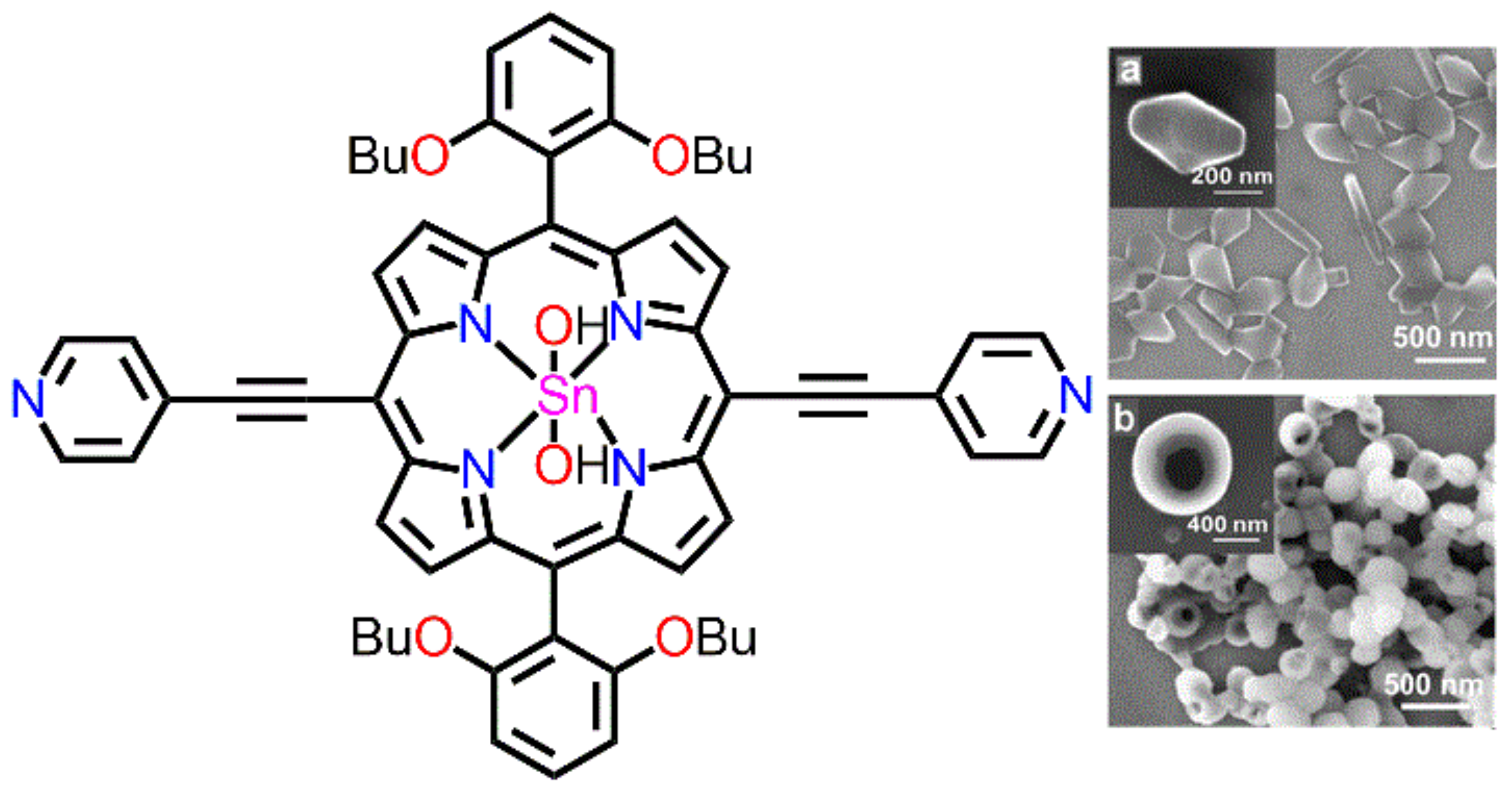 Molecules 29 00611 g002