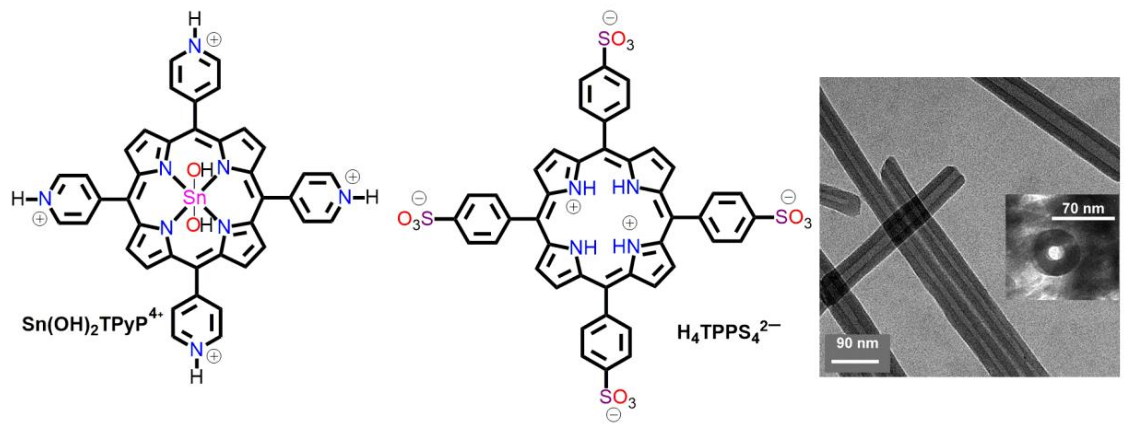 Molecules 29 00611 g007