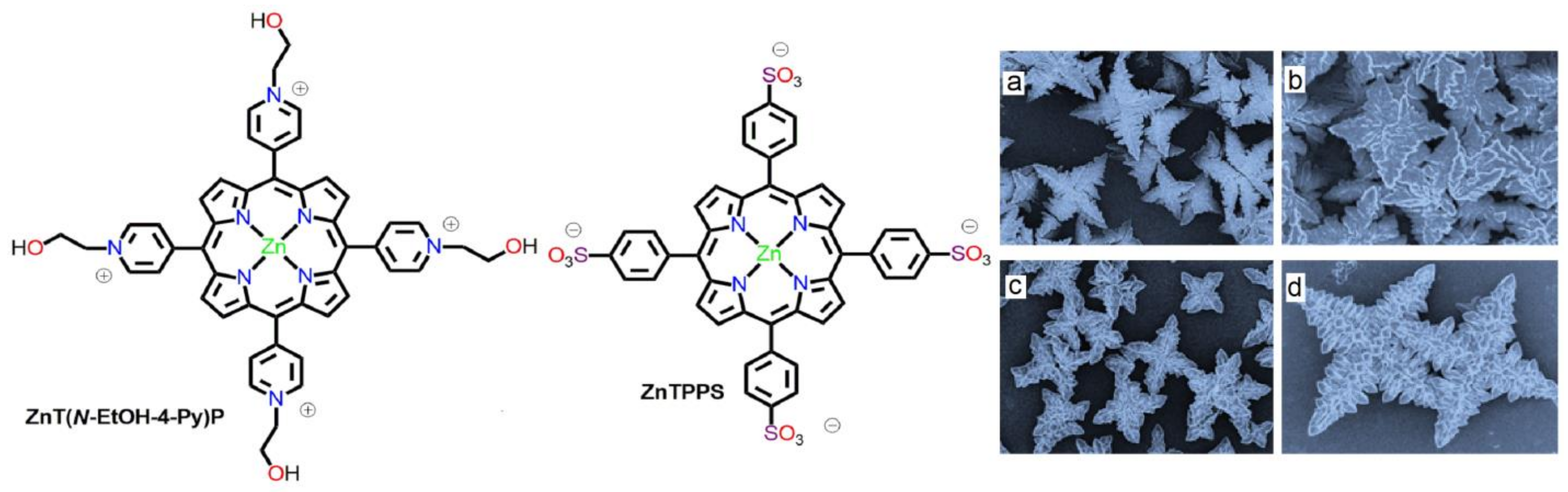 Molecules 29 00611 g008