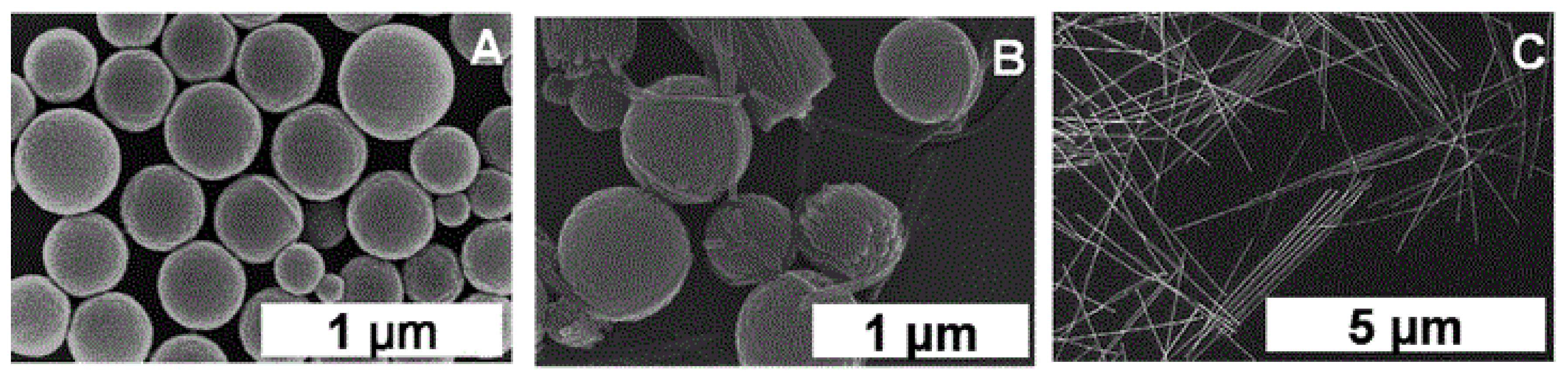 Molecules 29 00611 g012