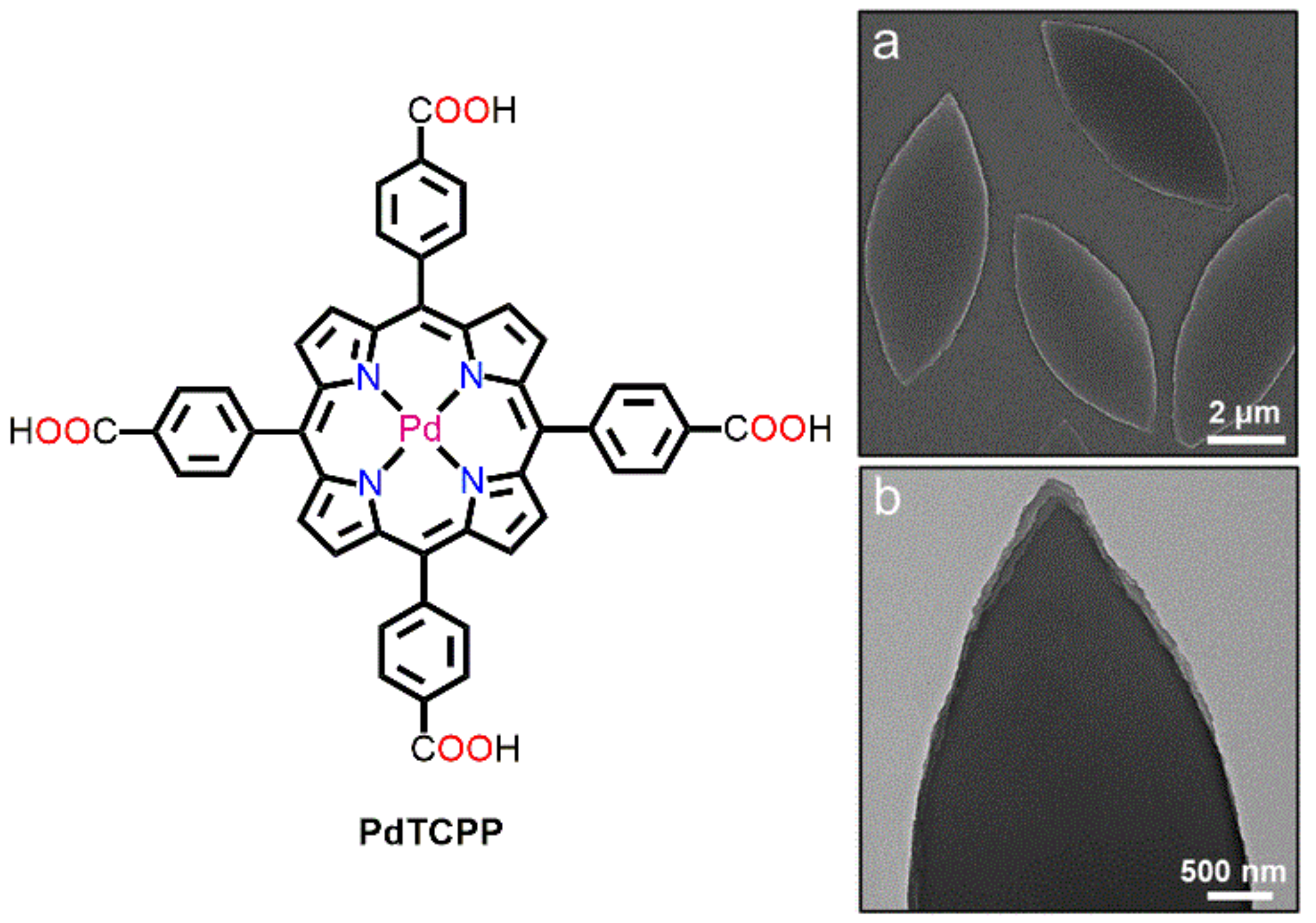 Molecules 29 00611 g016