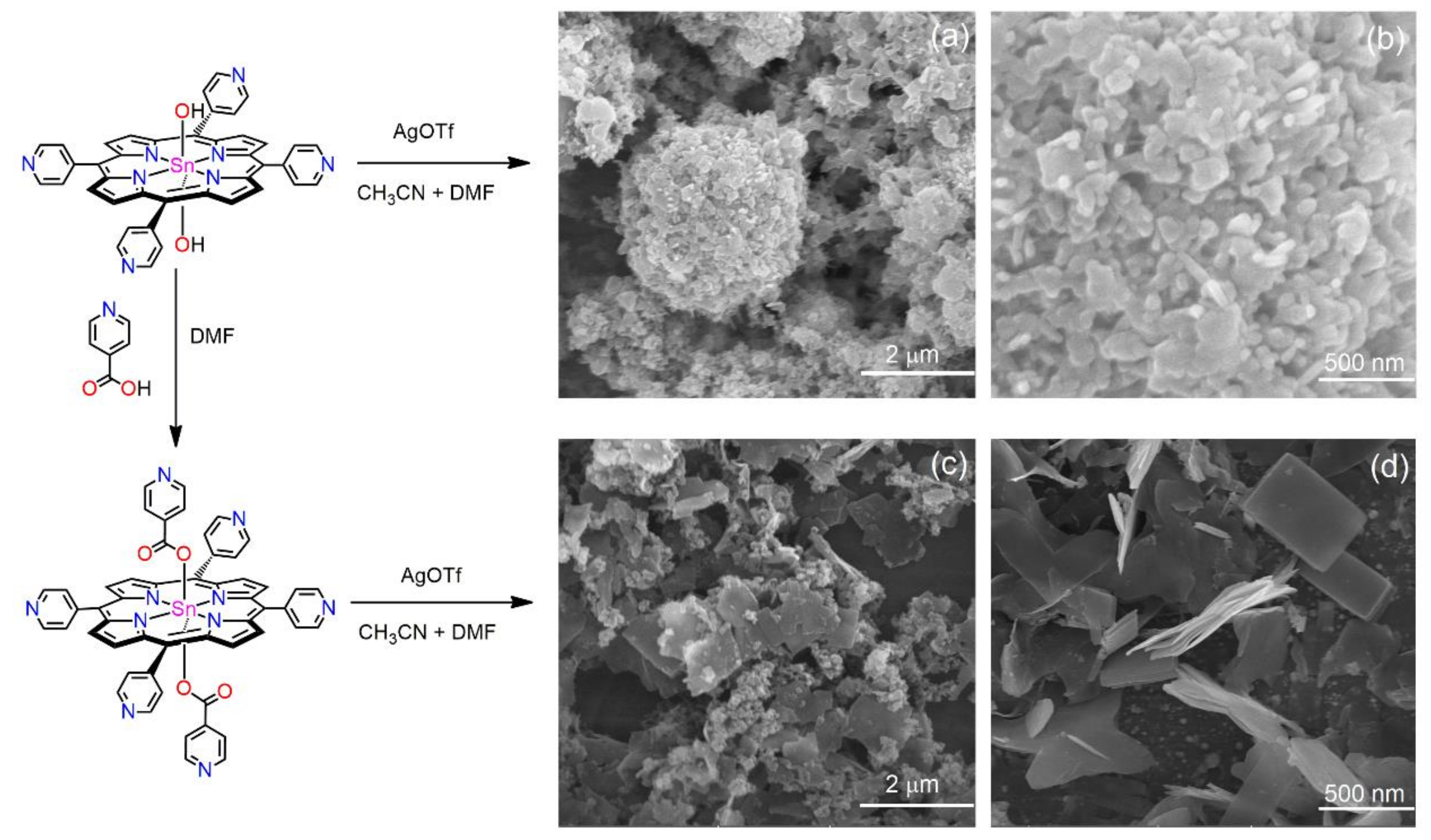 Molecules 29 00611 g021