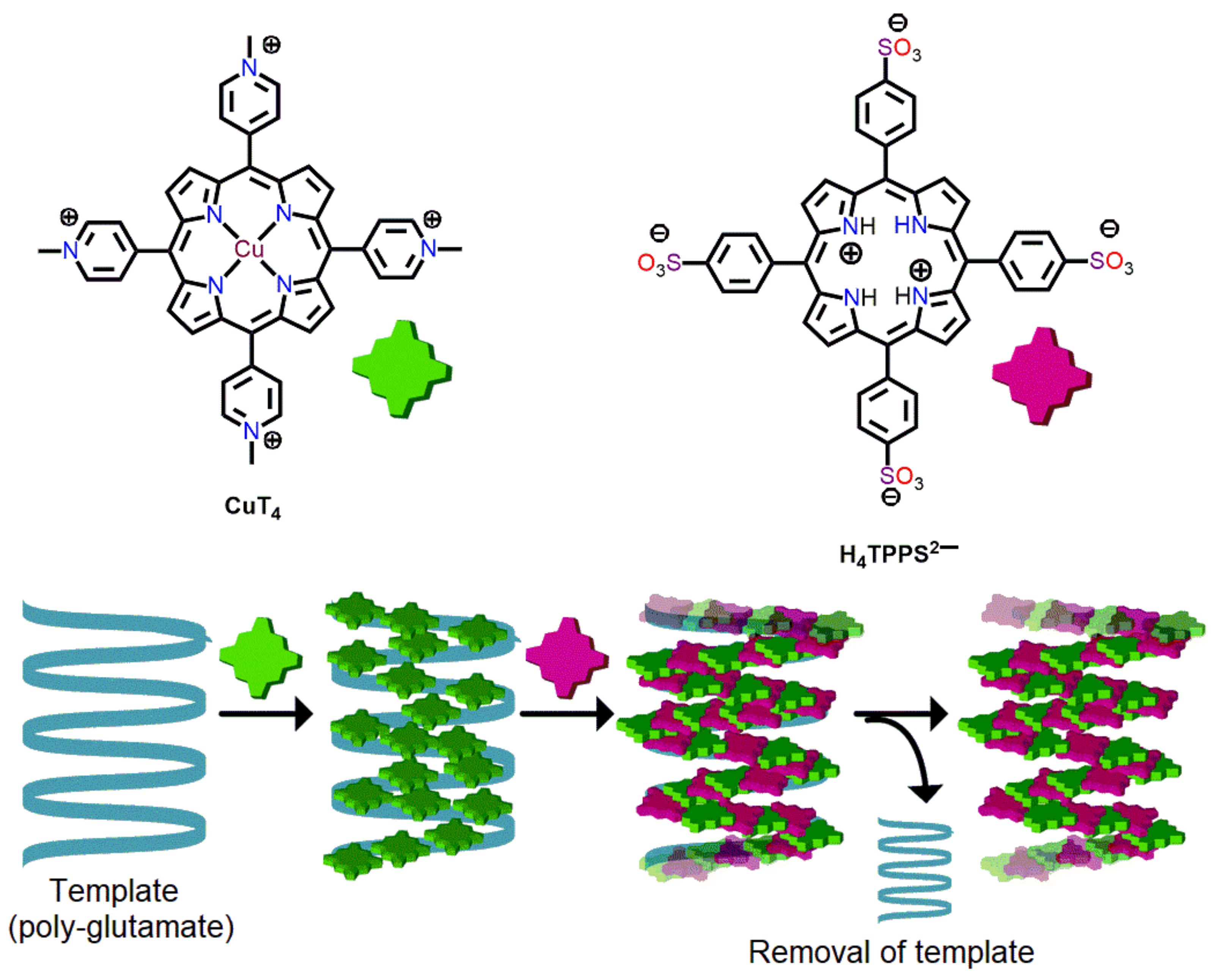 Molecules 29 00611 g024