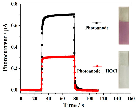 A Photoelectrochemical Sensor for the Detection of