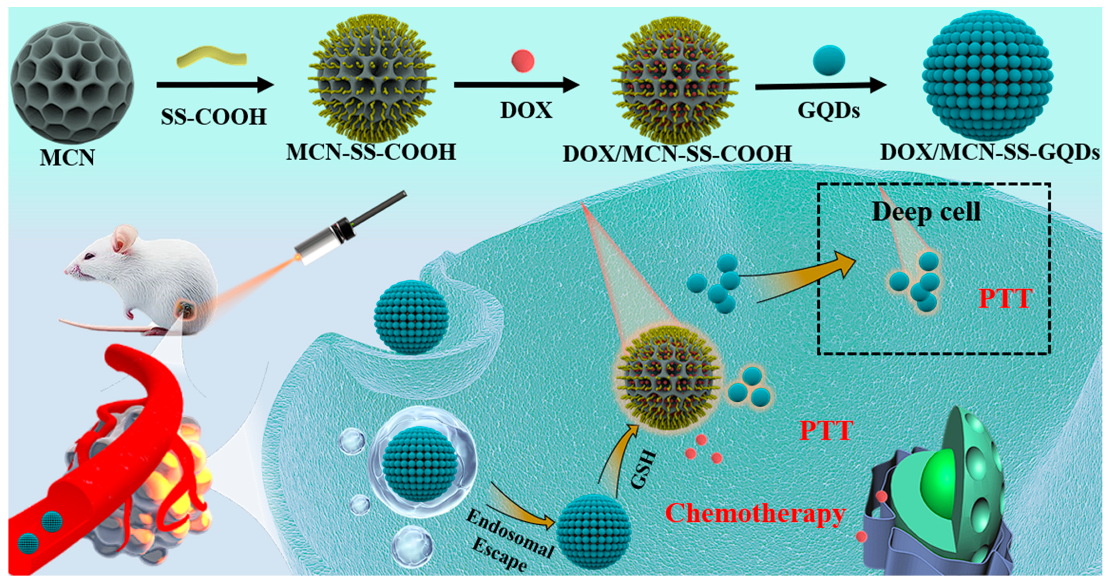 Molecules 29 00615 g001
