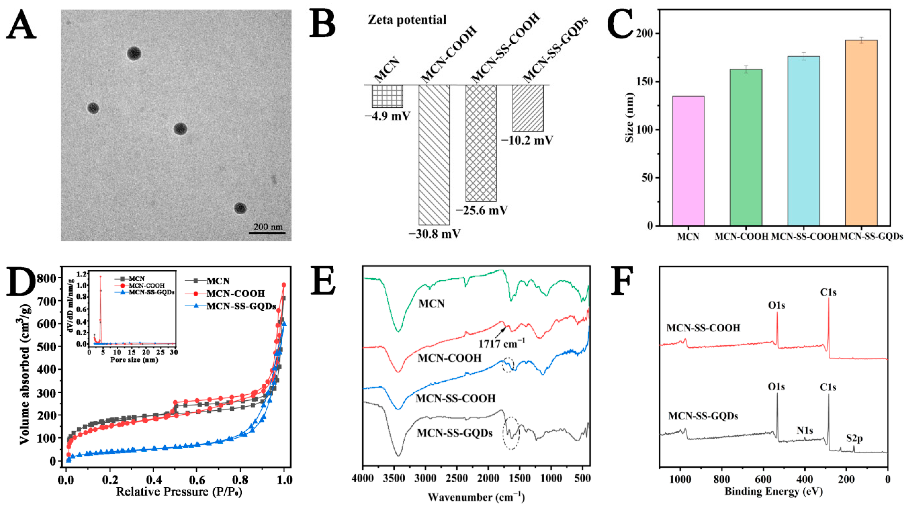 Molecules 29 00615 g003