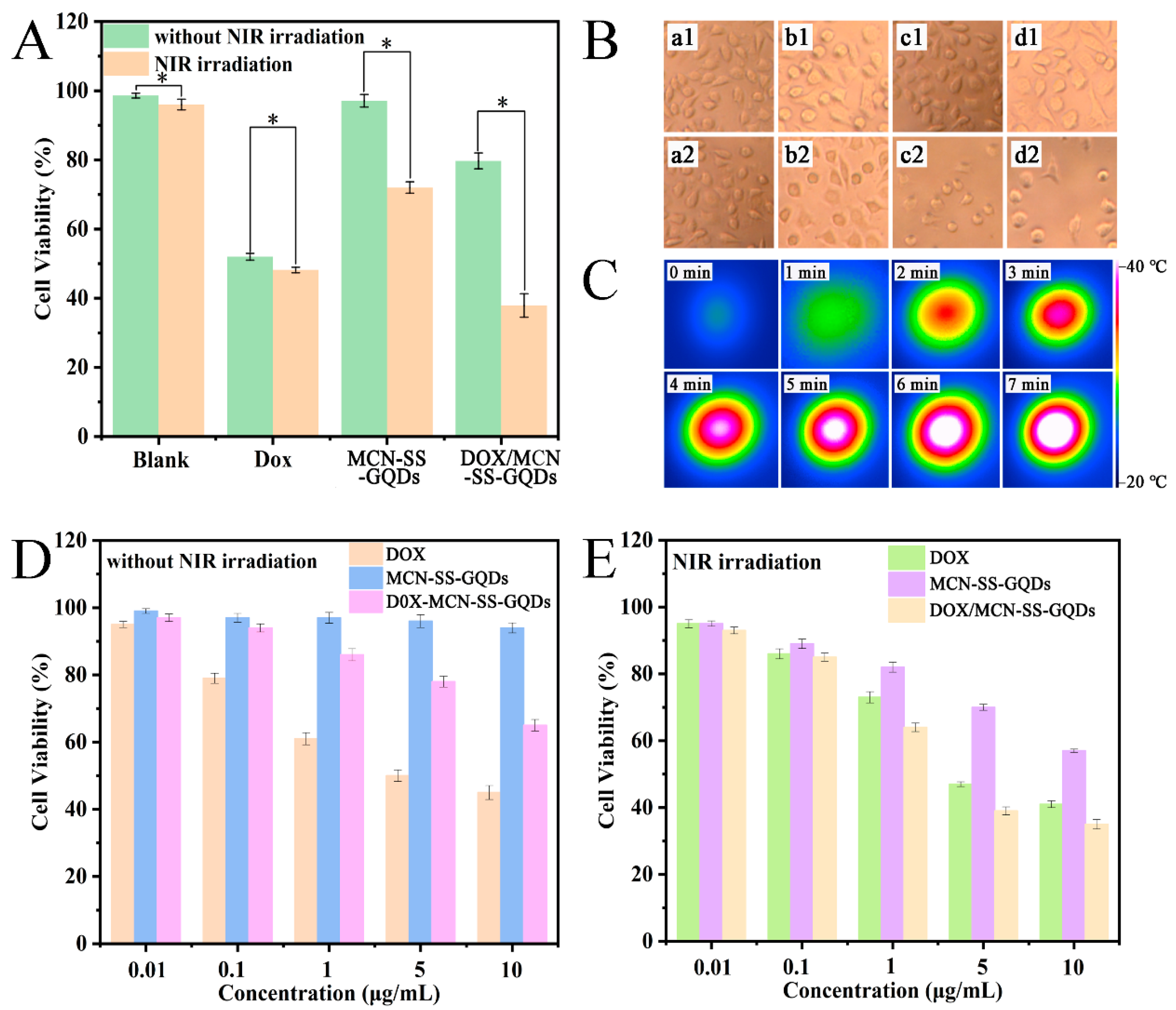 Molecules 29 00615 g007