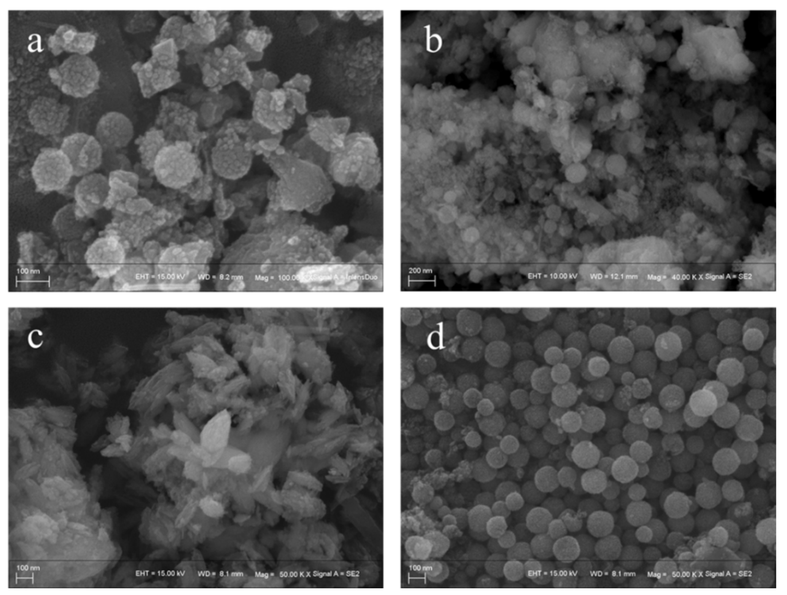 Molecules 29 00616 g002
