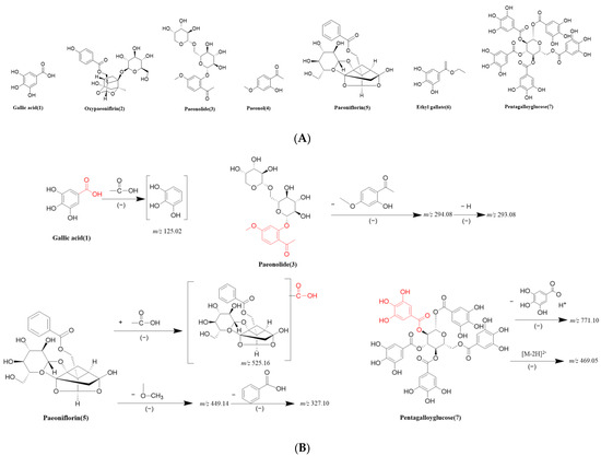 Ultrasound-Assisted Extraction of Paeonol from Moutan Cortex