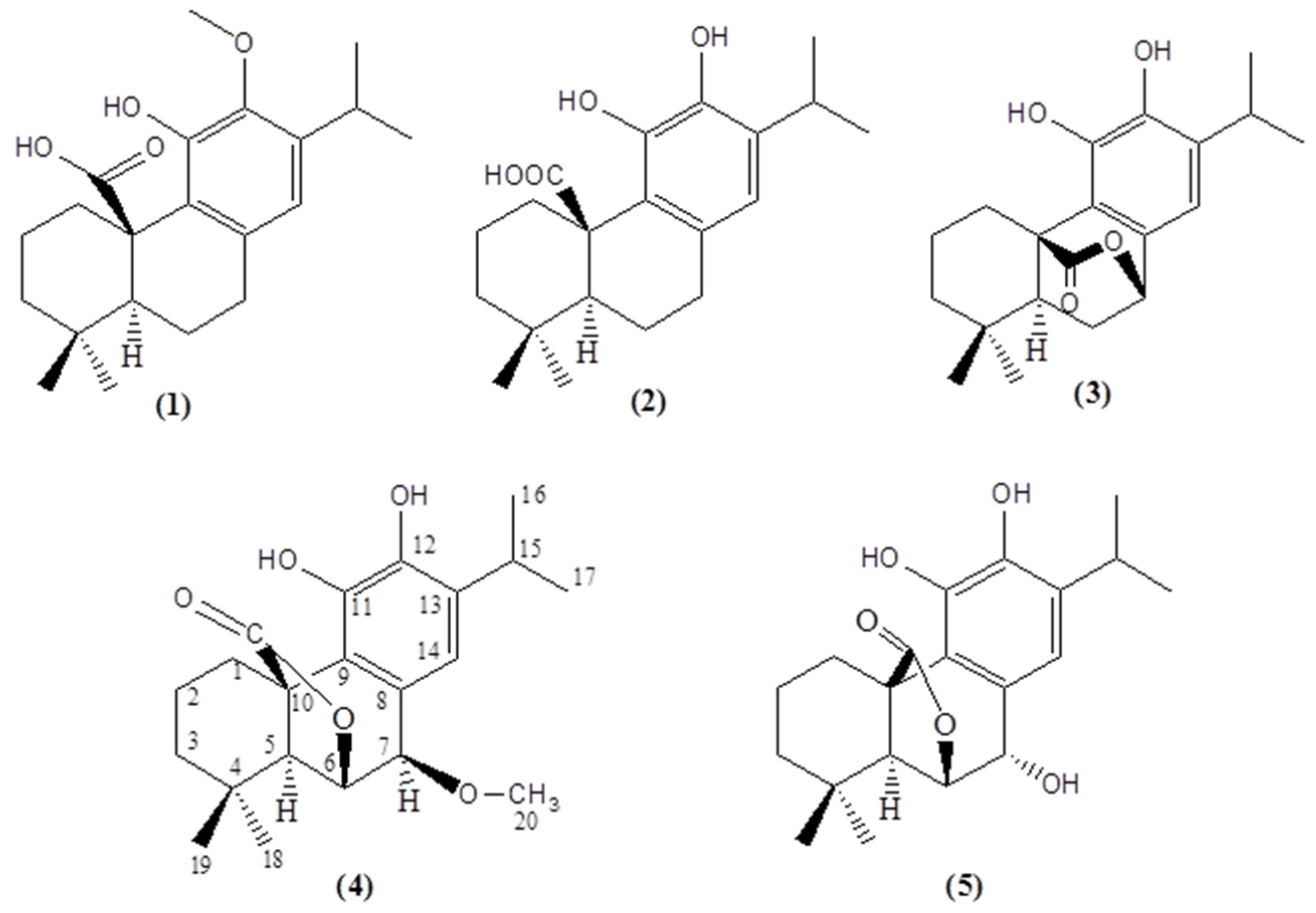 Molecules 29 00625 g002