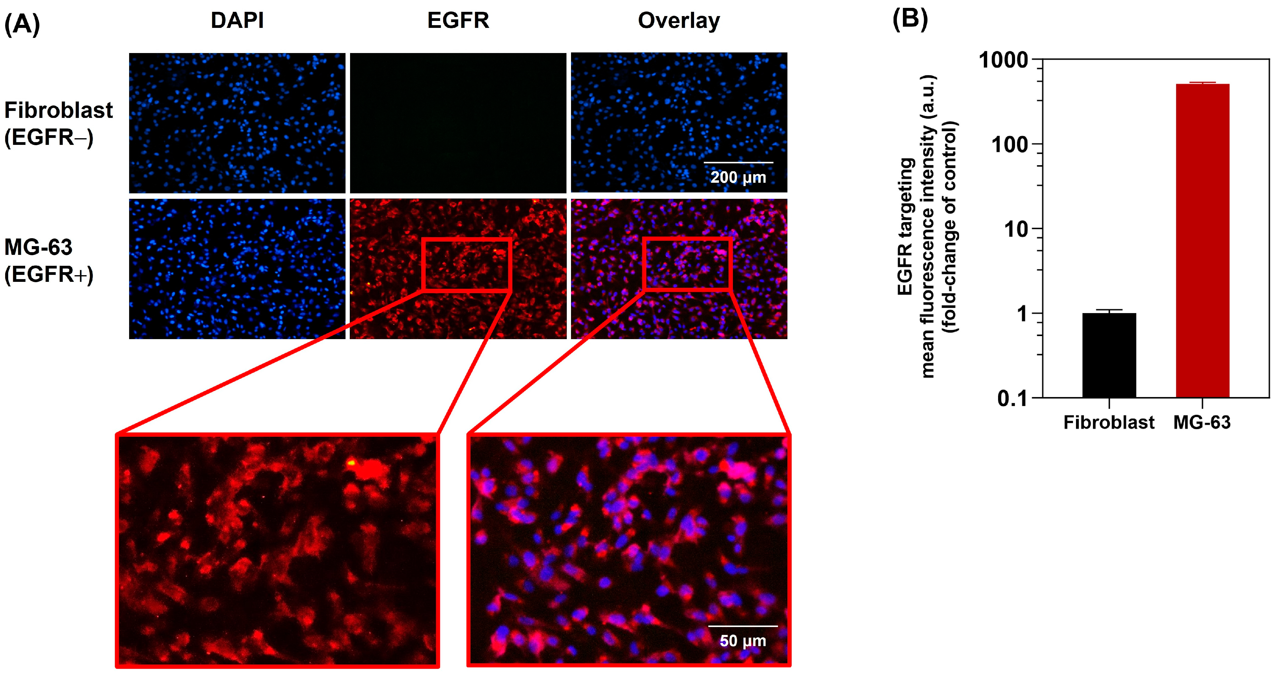 Molecules 29 00630 g007