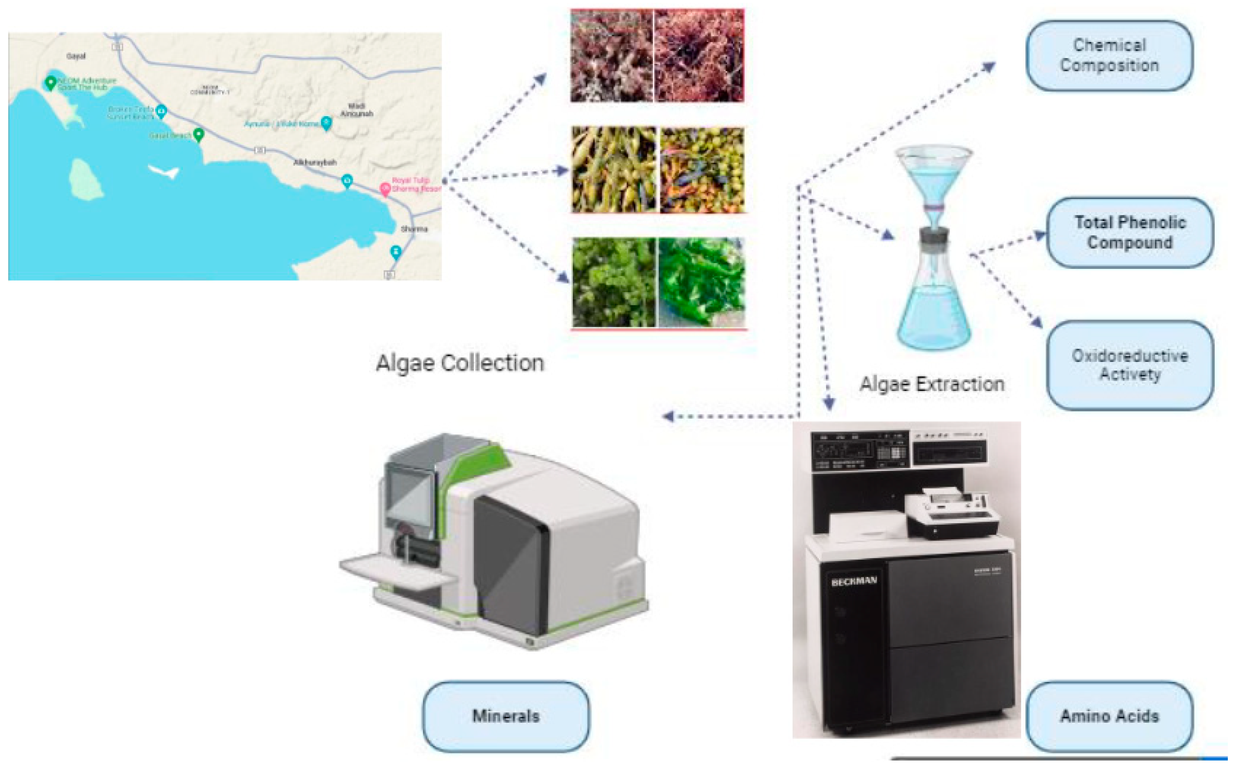 Molecules 29 00639 g003