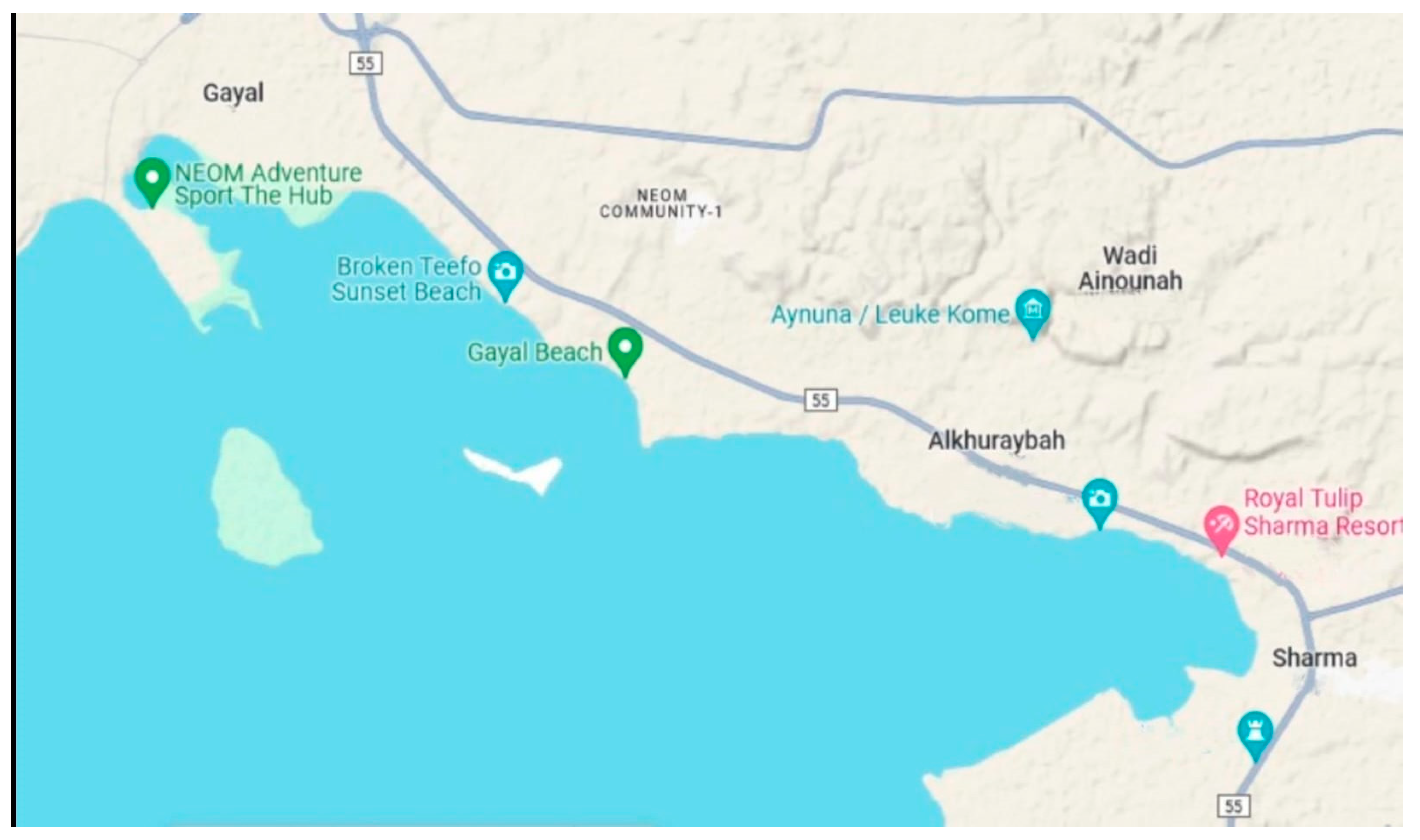 Molecules 29 00639 g004