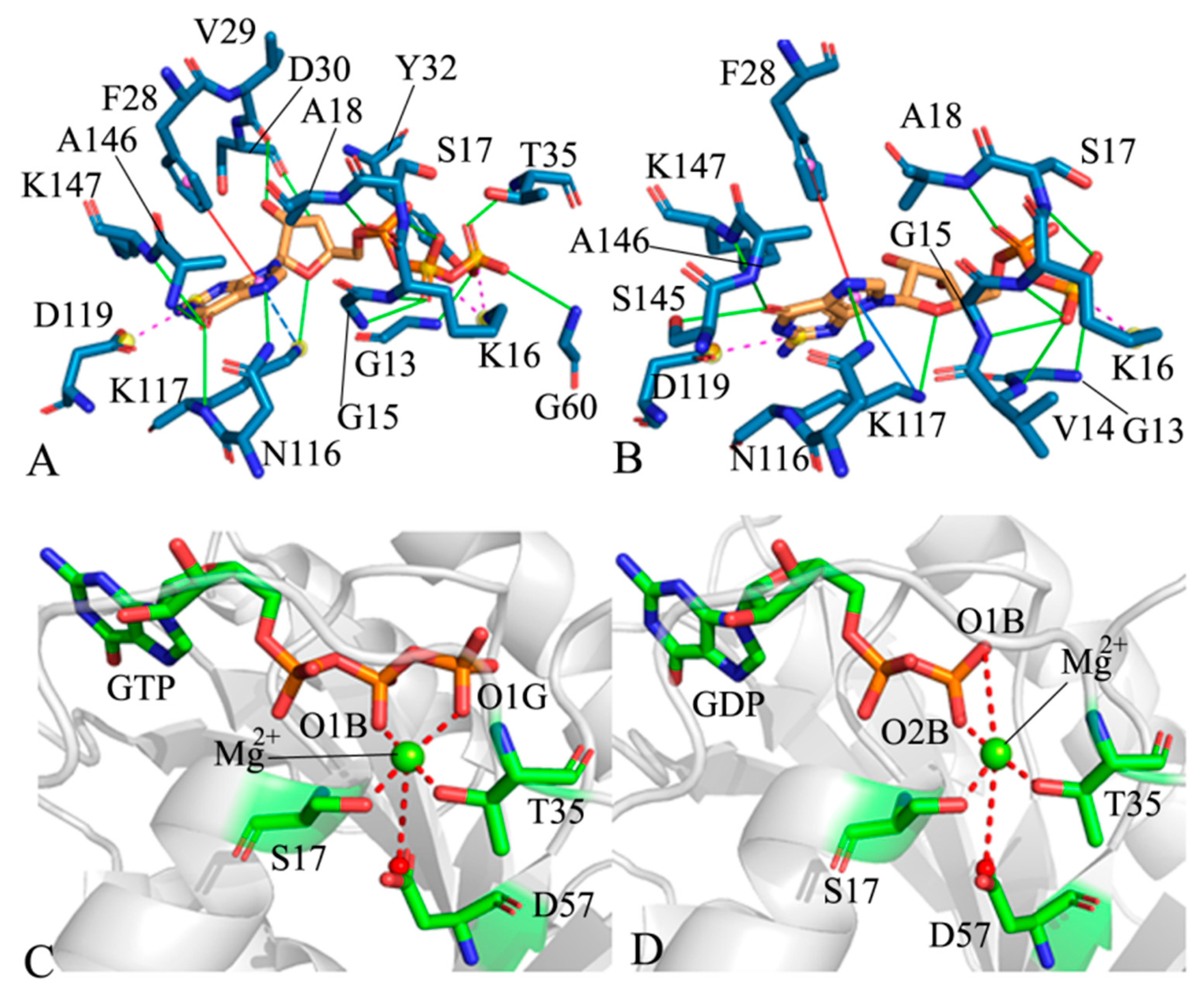 Molecules 29 00645 g006