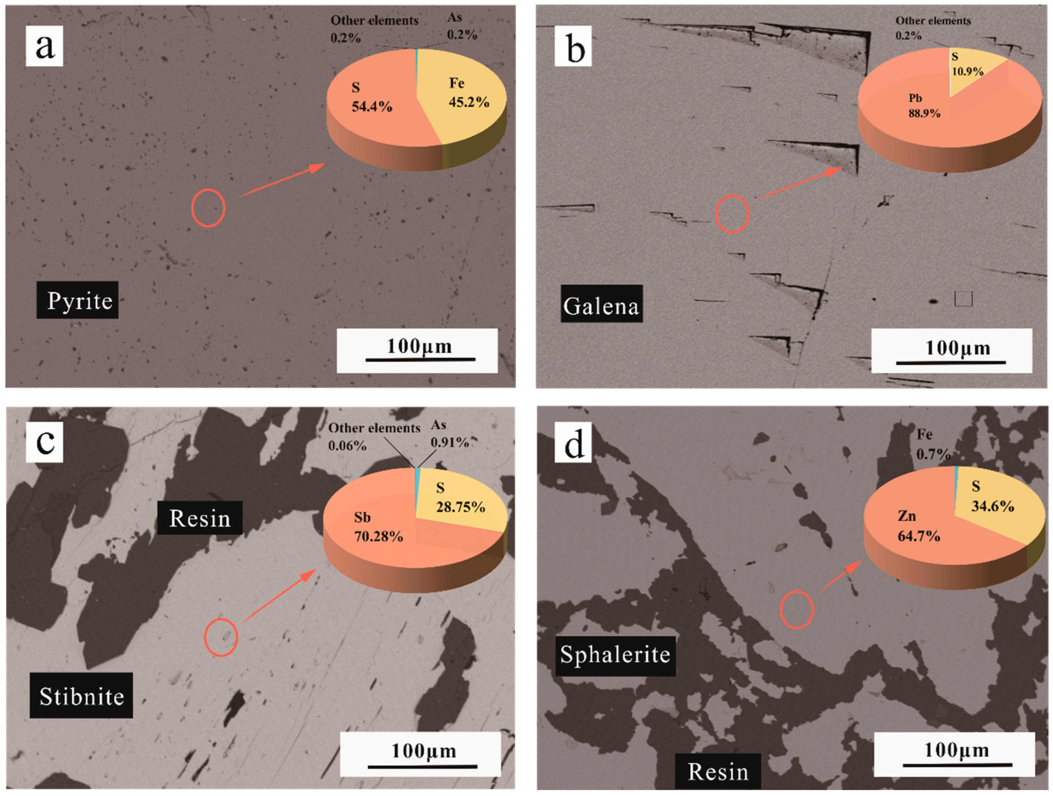 Molecules 29 00648 g002