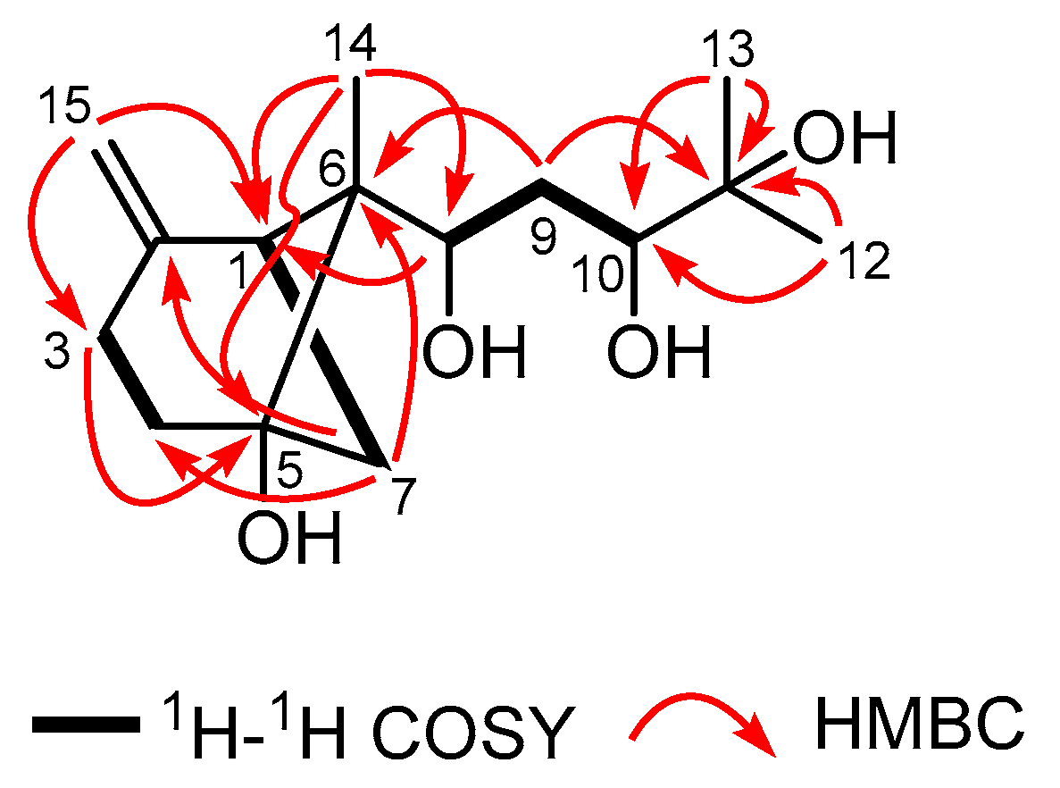Molecules 29 00649 g002