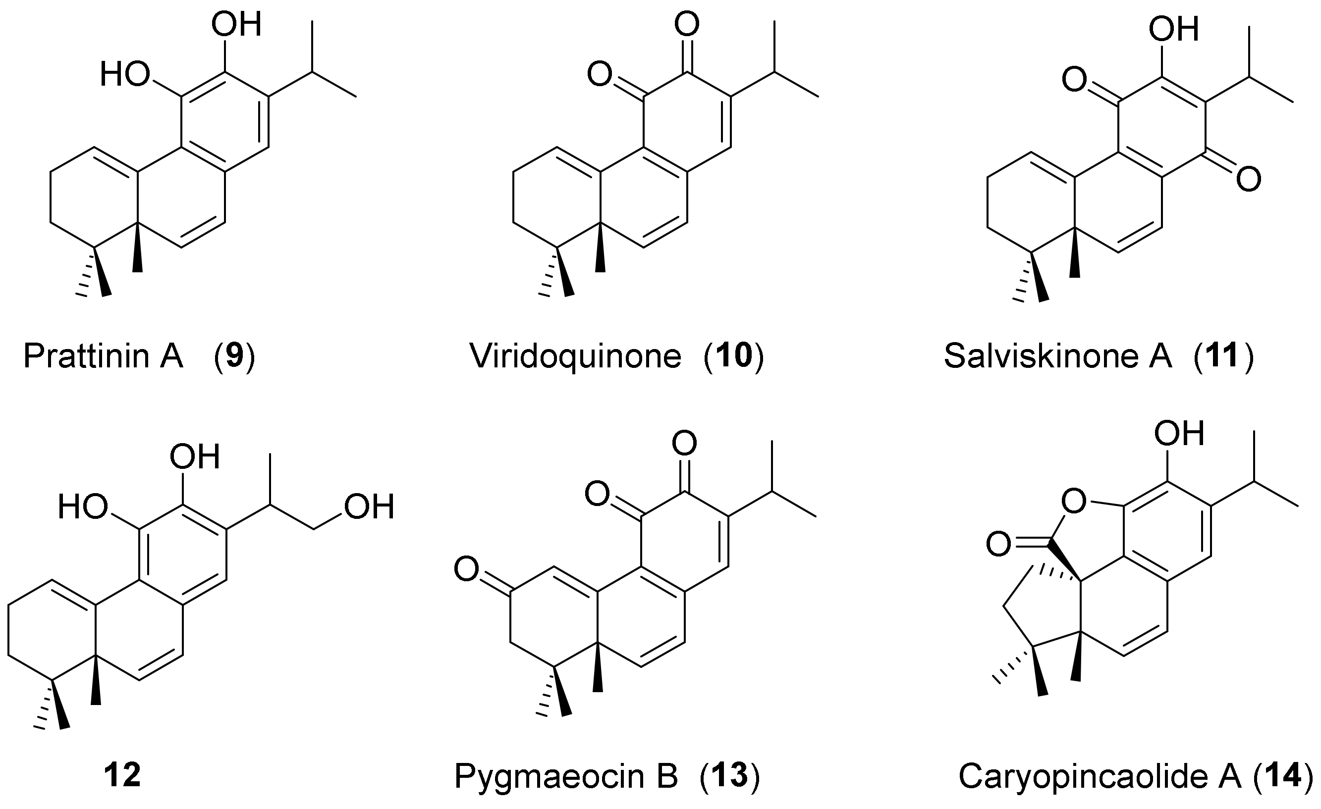 Molecules 29 00650 g002