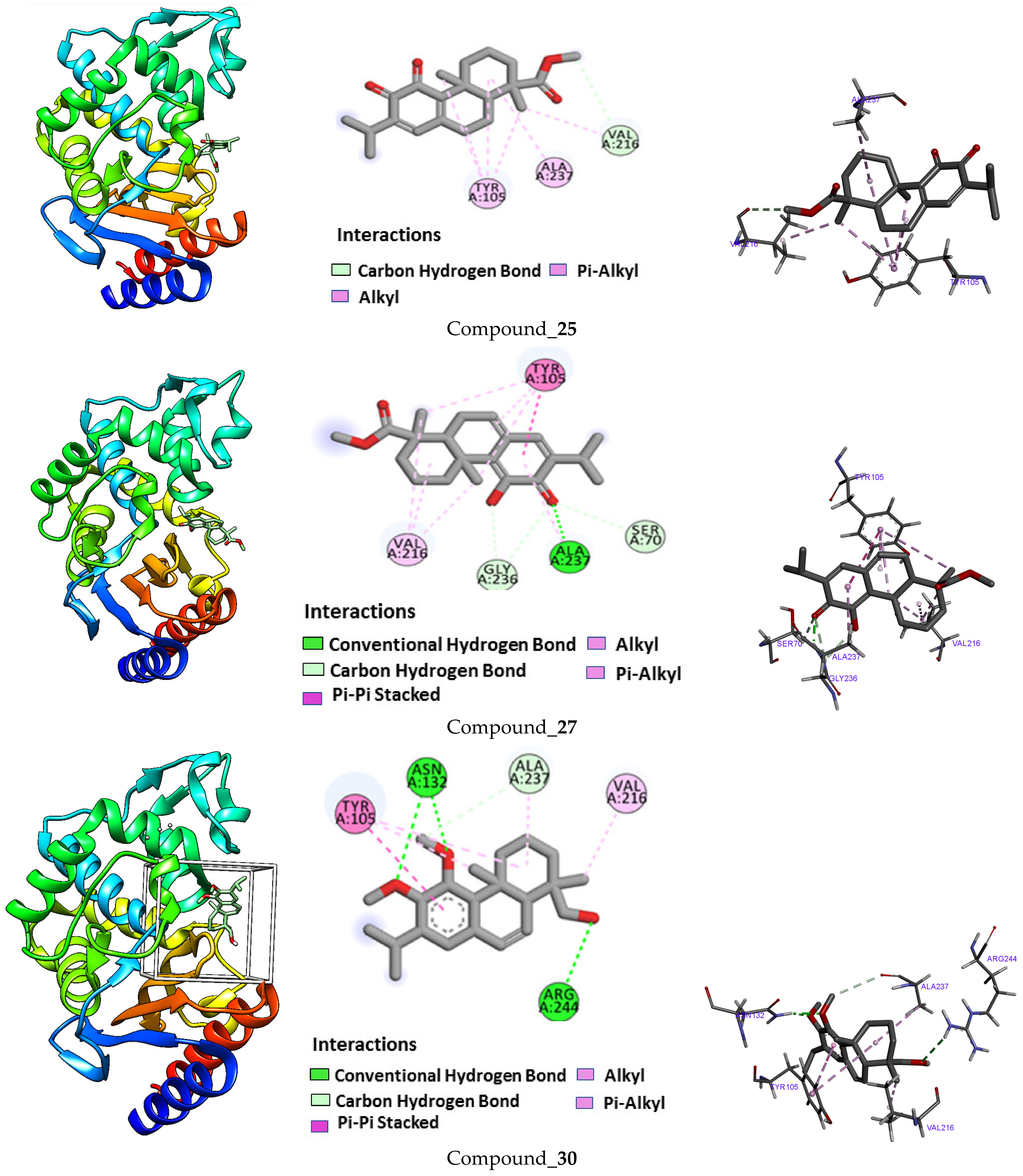 Molecules 29 00650 g004