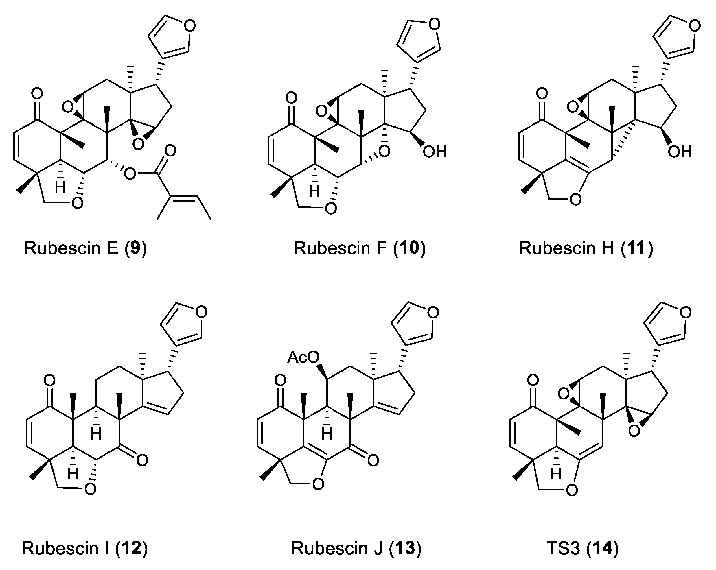 Molecules 29 00651 g003 Molecules 29 00651 g003
