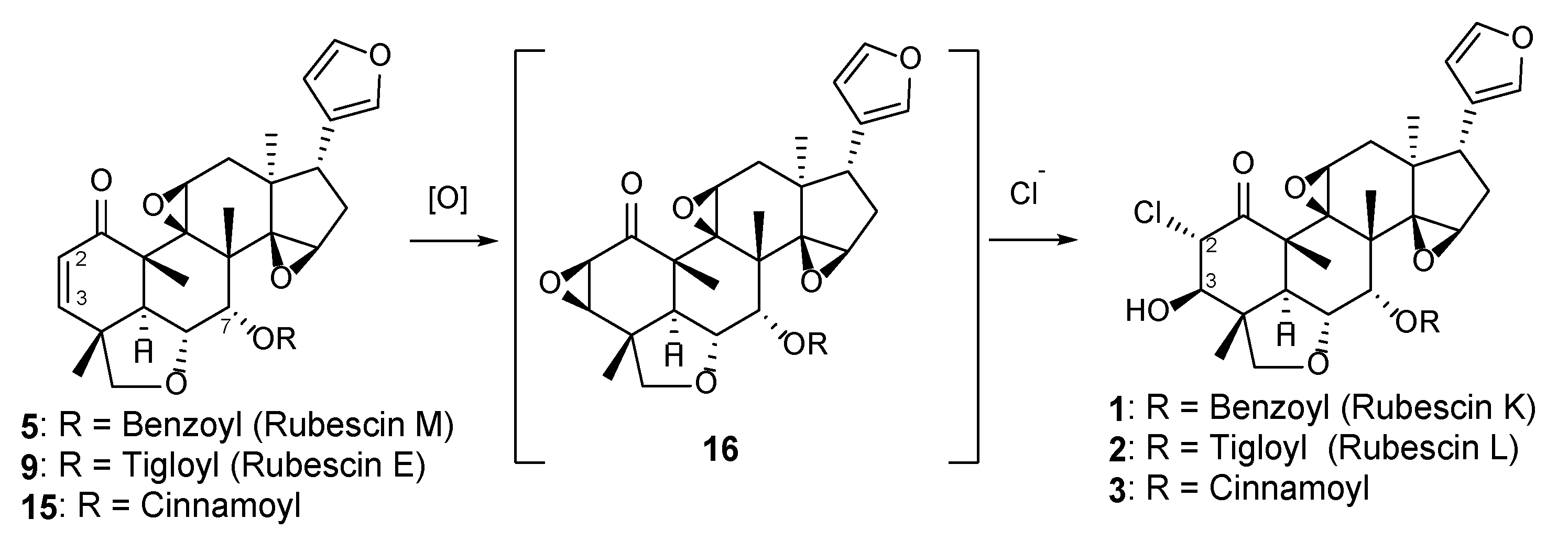 Molecules 29 00651 g007 Molecules 29 00651 g007