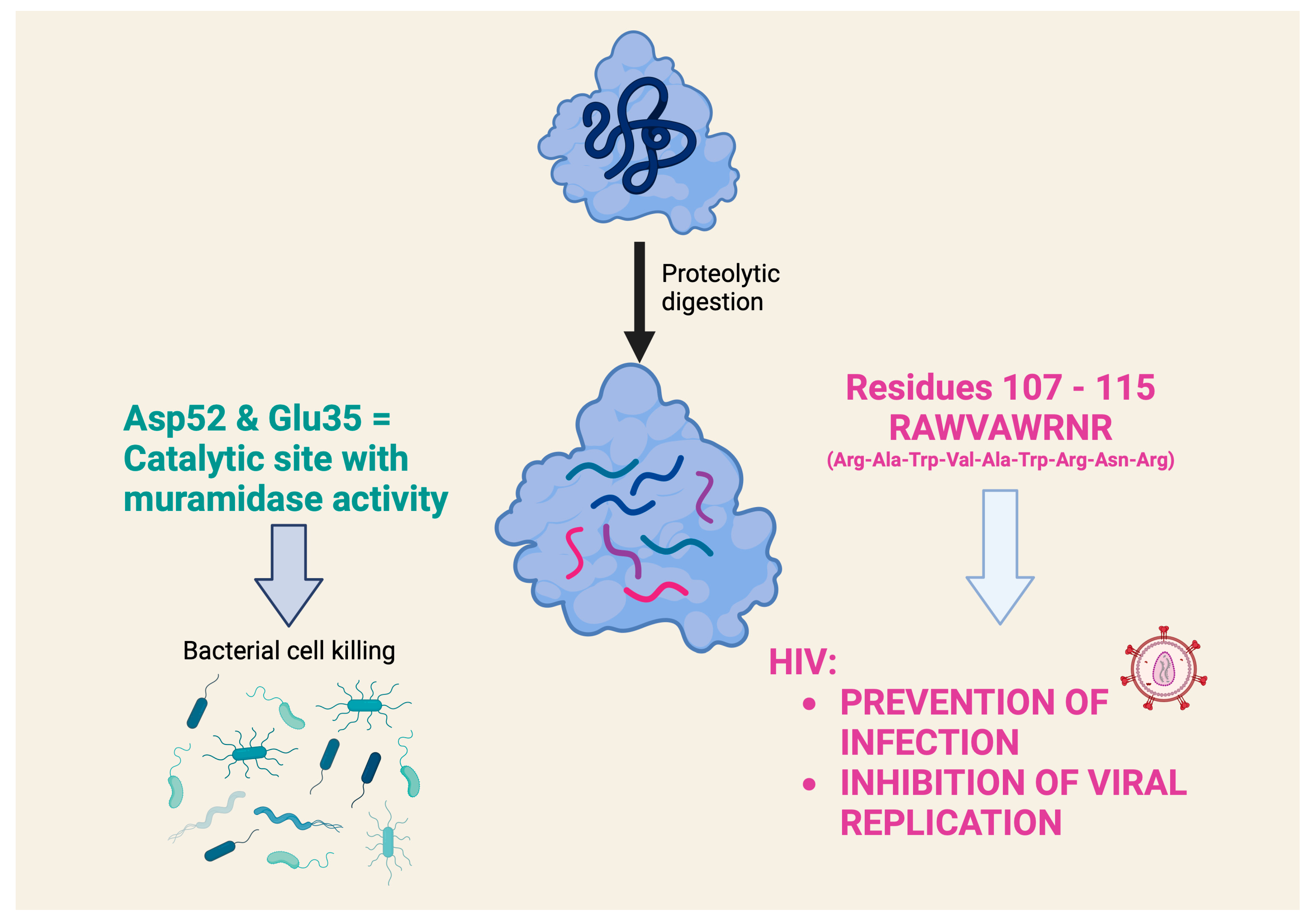 Molecules 29 00652 g004 Molecules 29 00652 g004