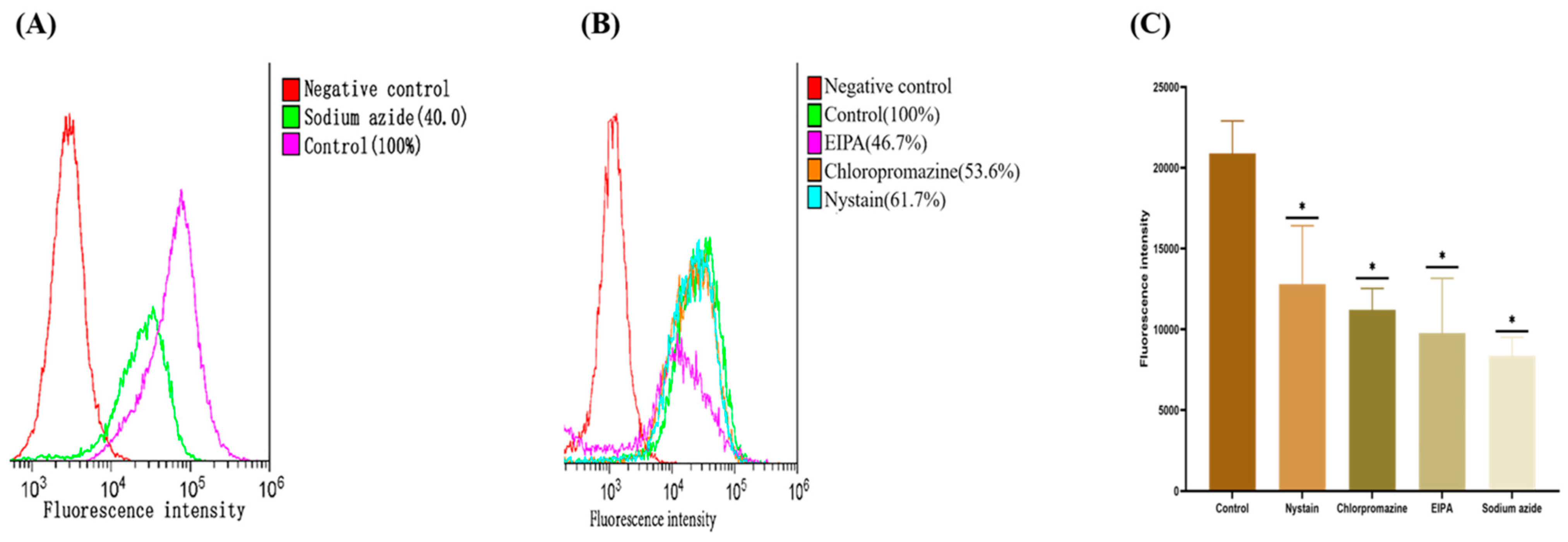 Molecules 29 00658 g006