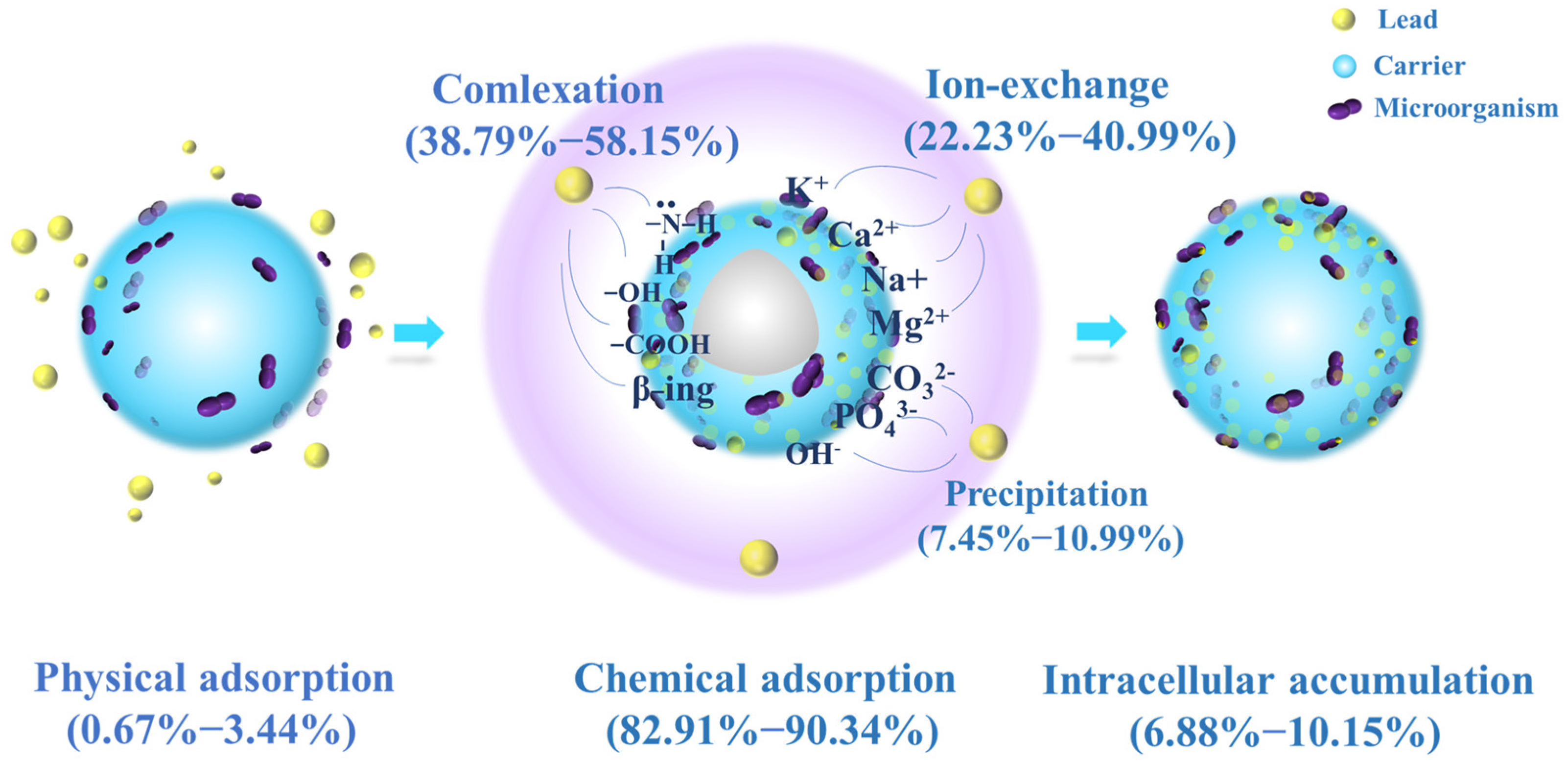 Molecules 29 00660 g006