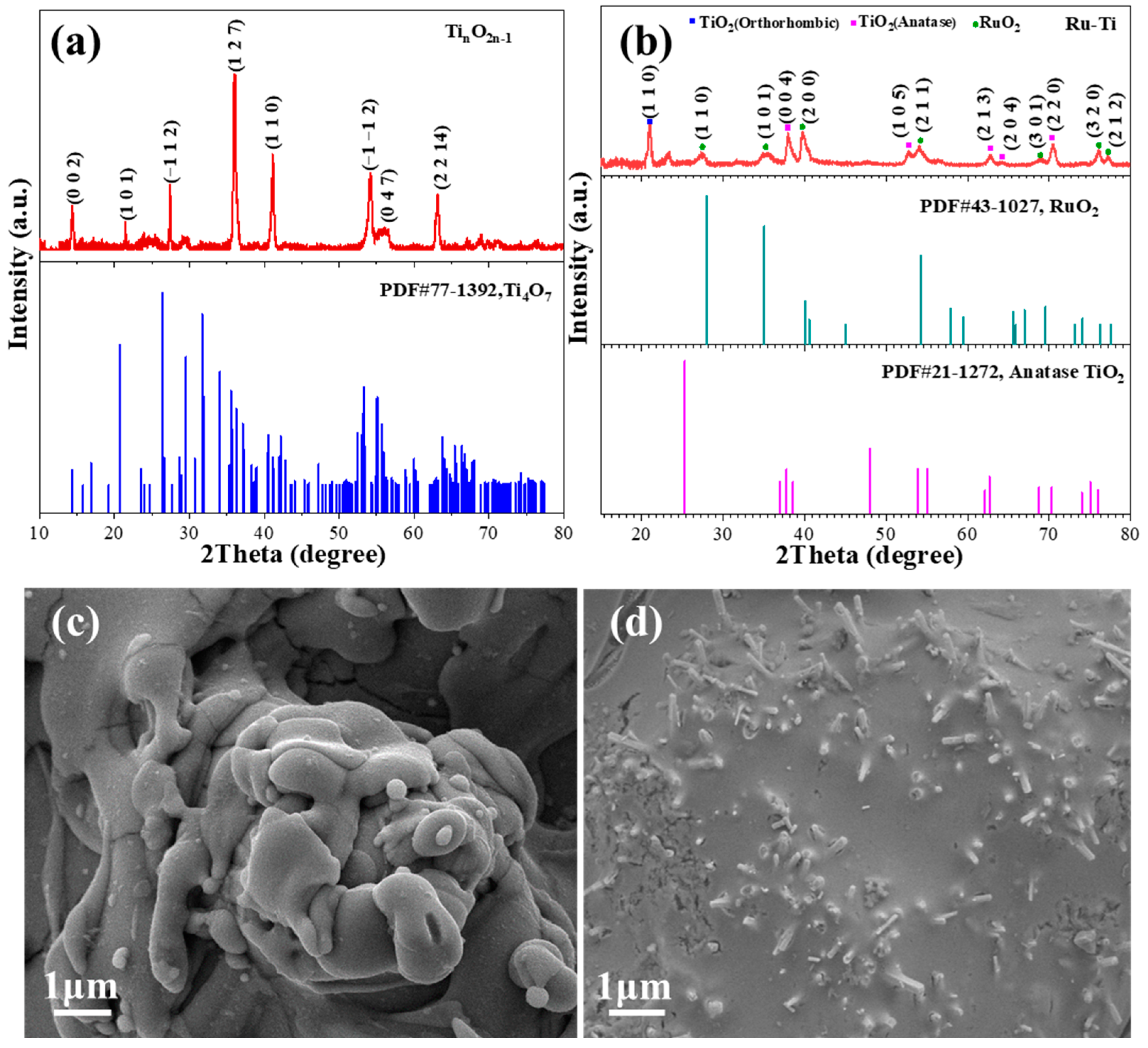 Molecules 29 00662 g001