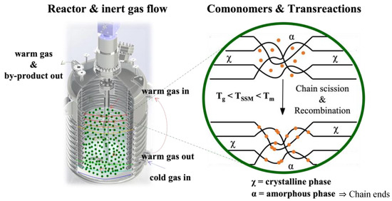 Recent Advances in Solid-State Modification for Thermoplastic